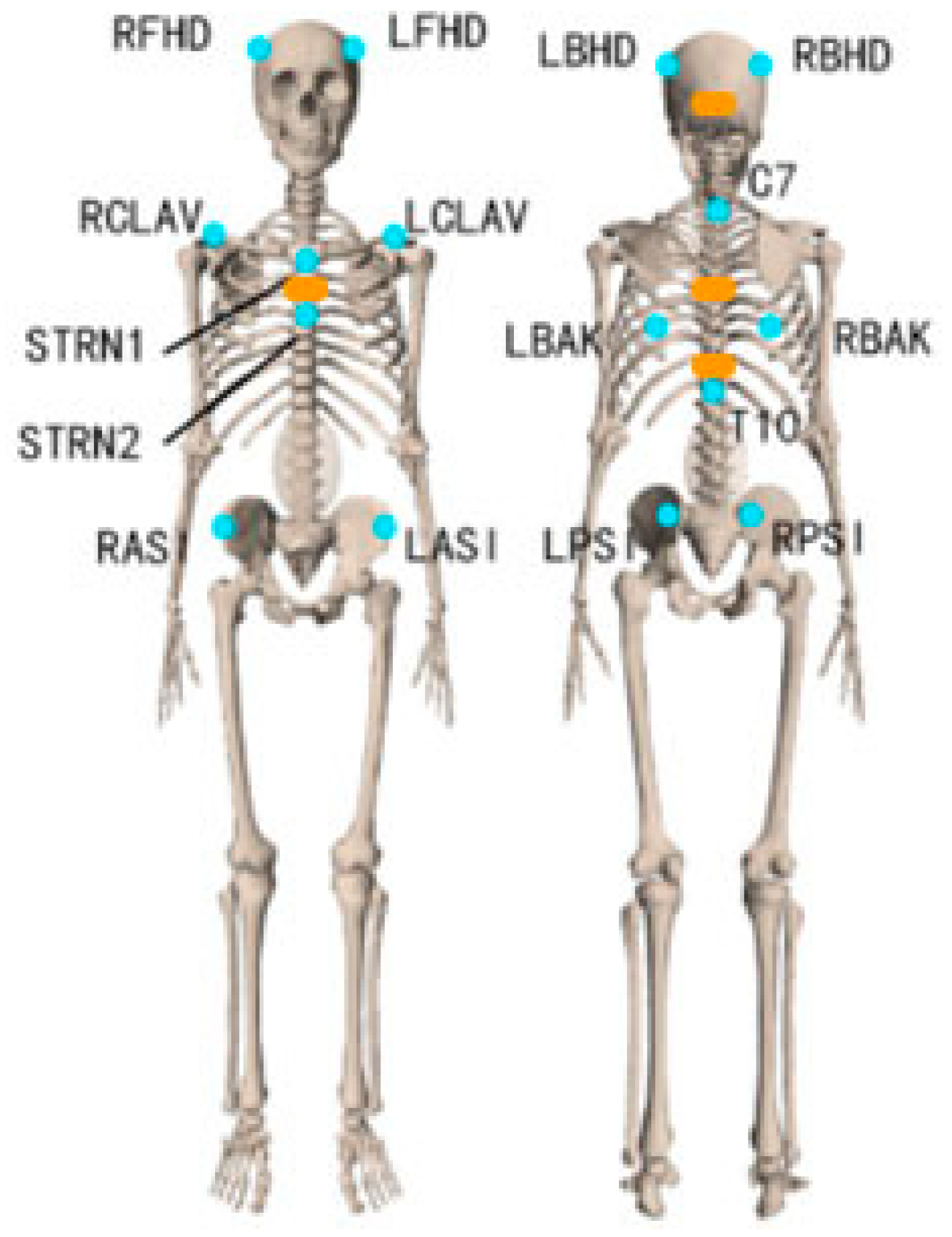Sensors 22 08342 g001 Sensors 22 08342 g001