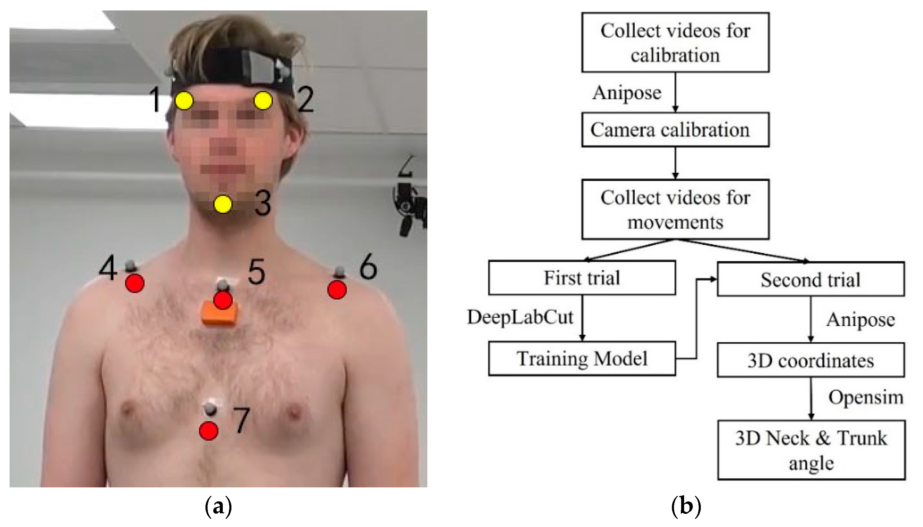 Sensors 22 08342 g004 Sensors 22 08342 g004