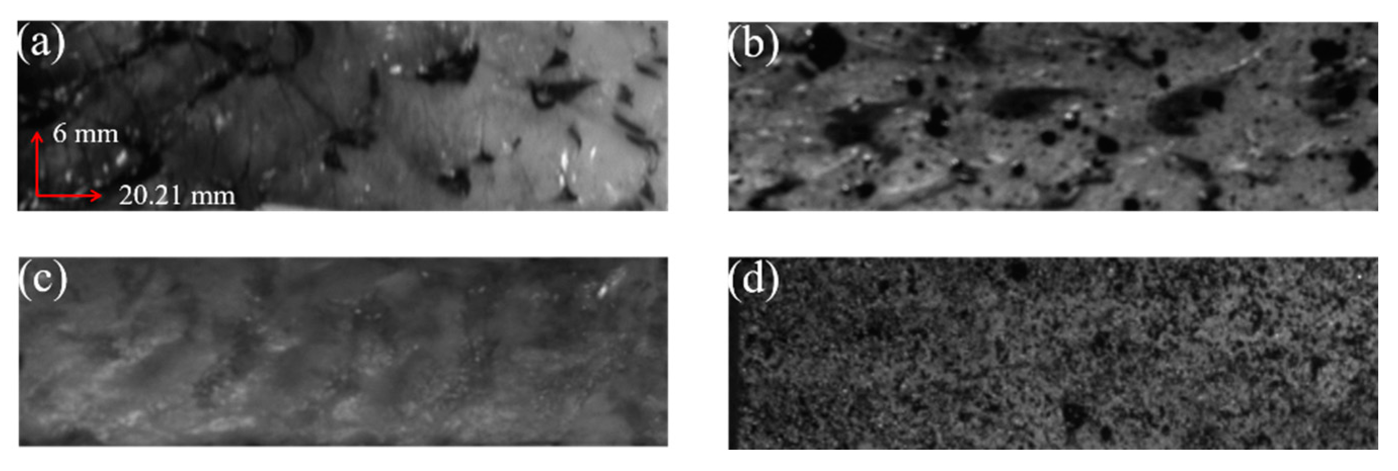 Sensors 22 08364 g006 Sensors 22 08364 g006