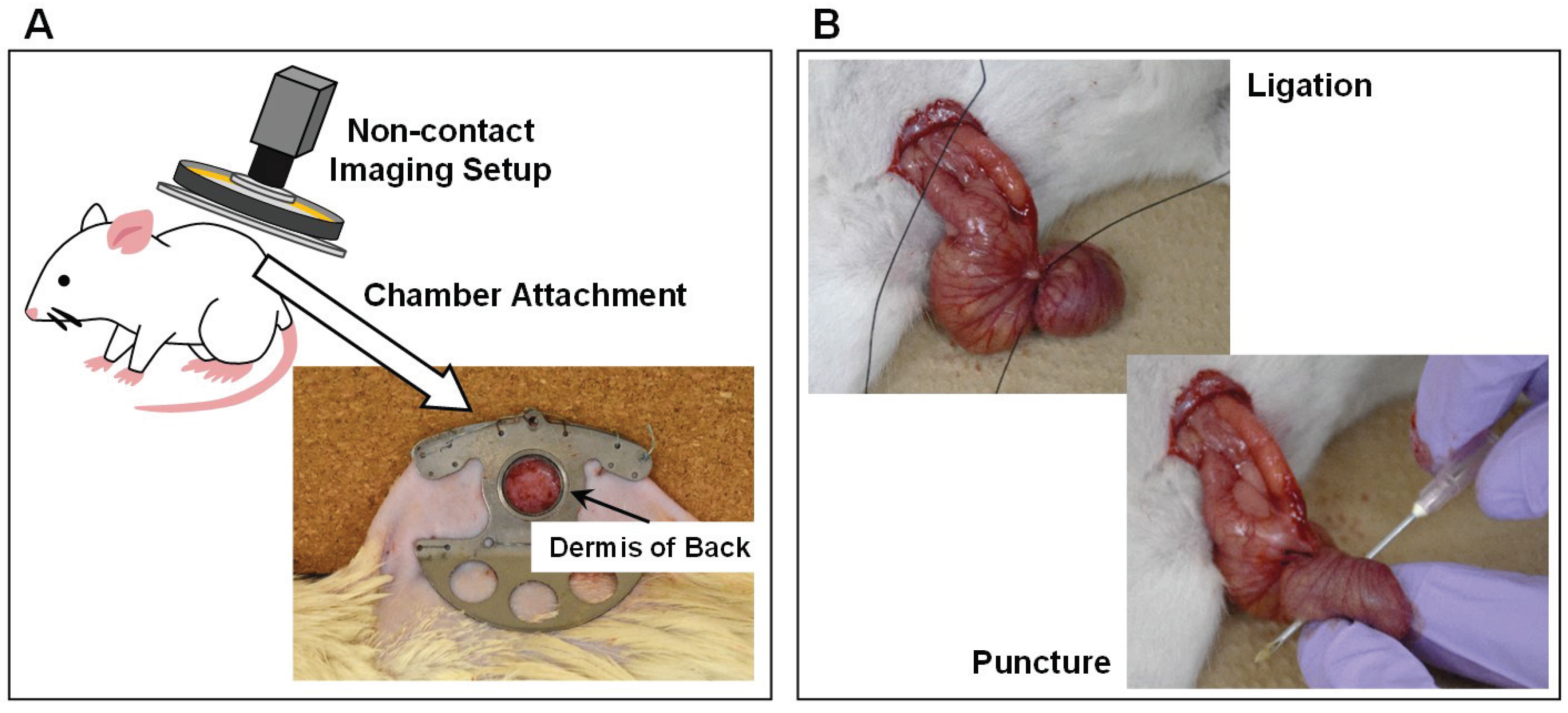Sensors 22 08471 g007