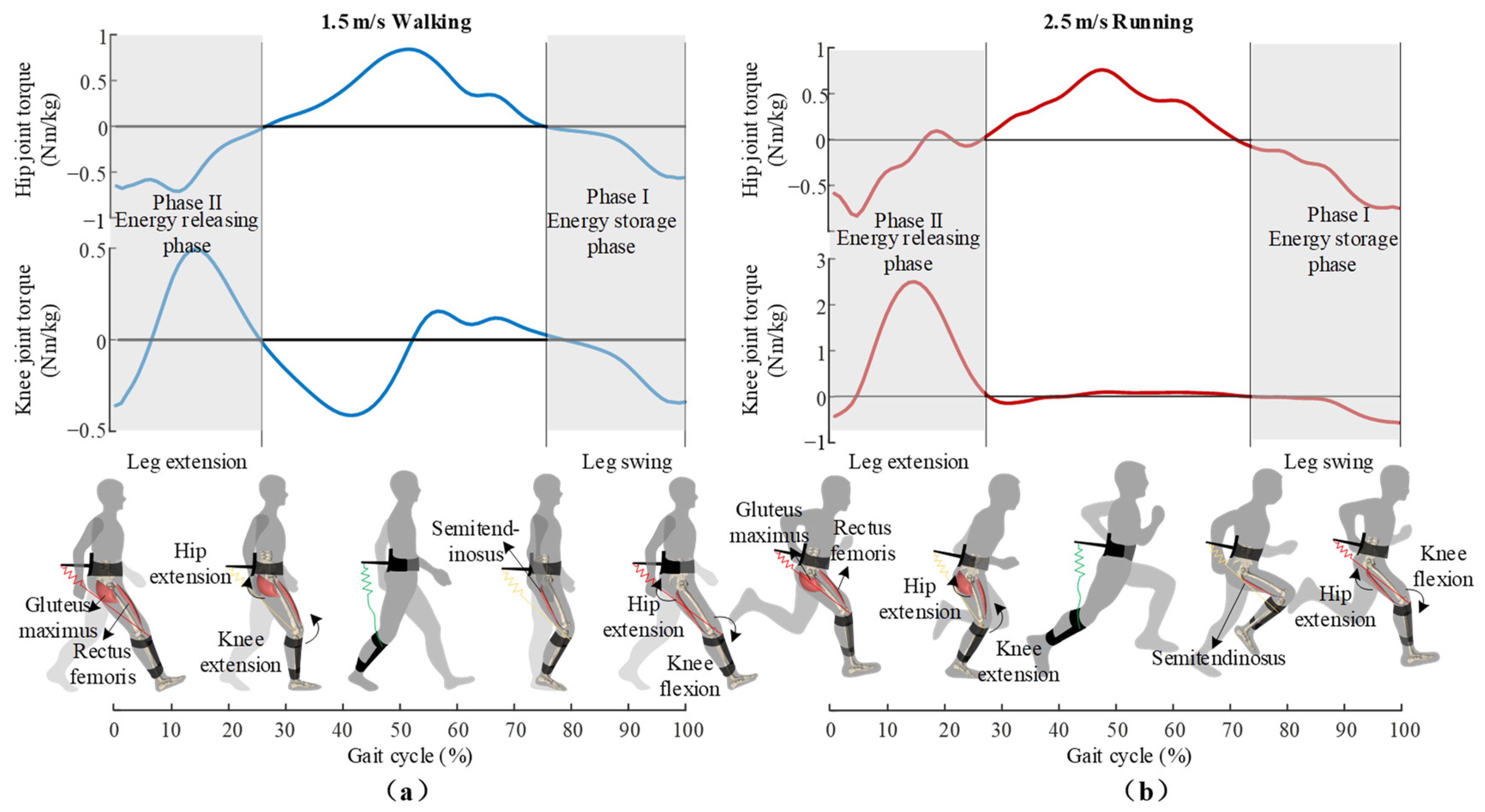 Modulating Multiarticular Energy during Human Walking and