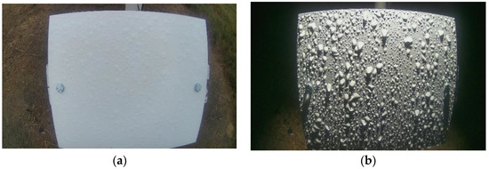 Imaging and Deep Learning Based Approach to Leaf Wetness Detection in ...