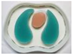 Sensors 22 08698 i141