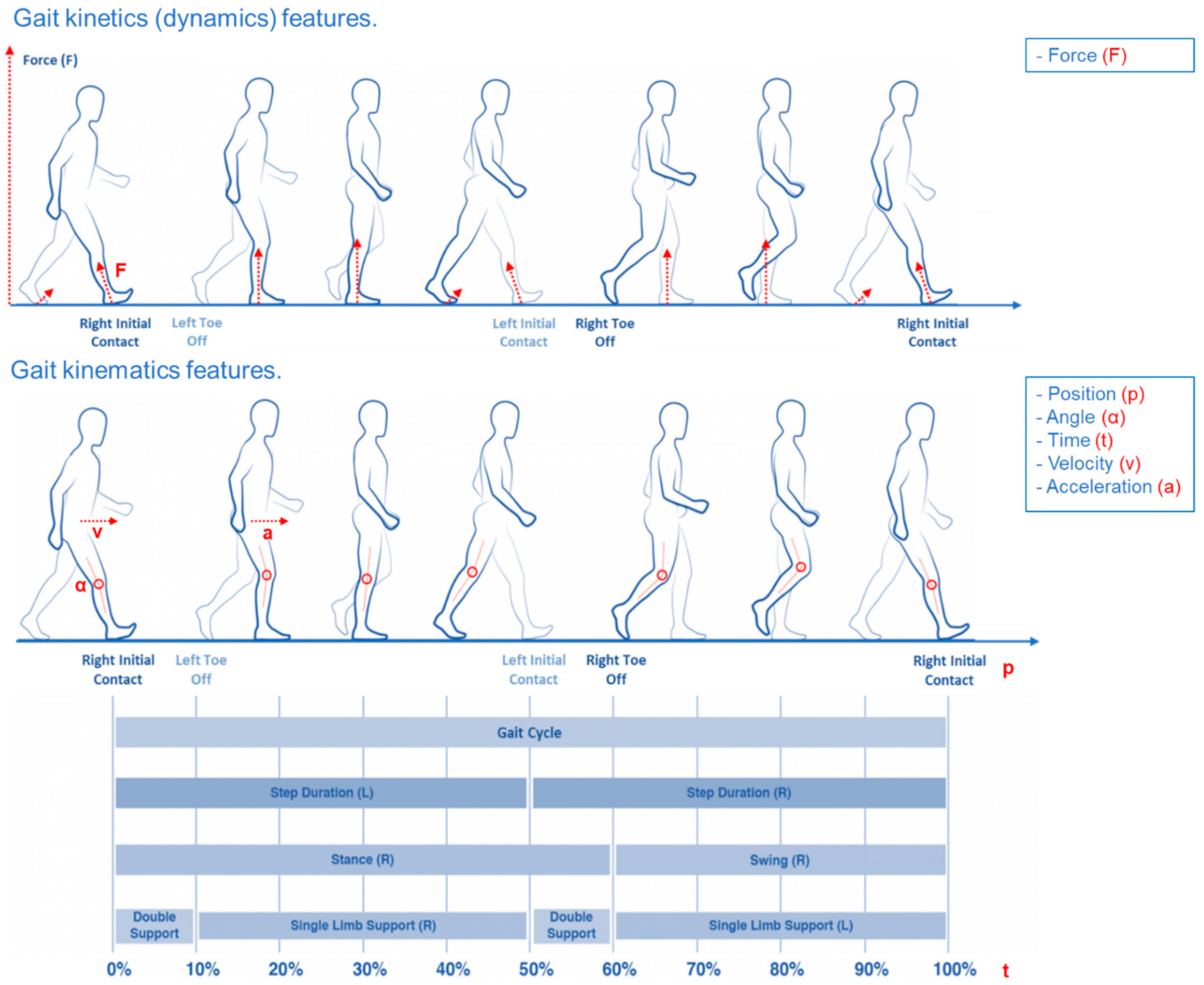 GAIT ANALYSIS 歩行分析 第2版 GAIT ANALYSIS 歩行分析 第2版 - メルカリ