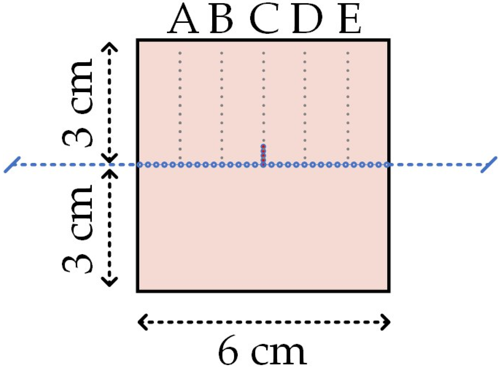 Sensors 22 08800 g004