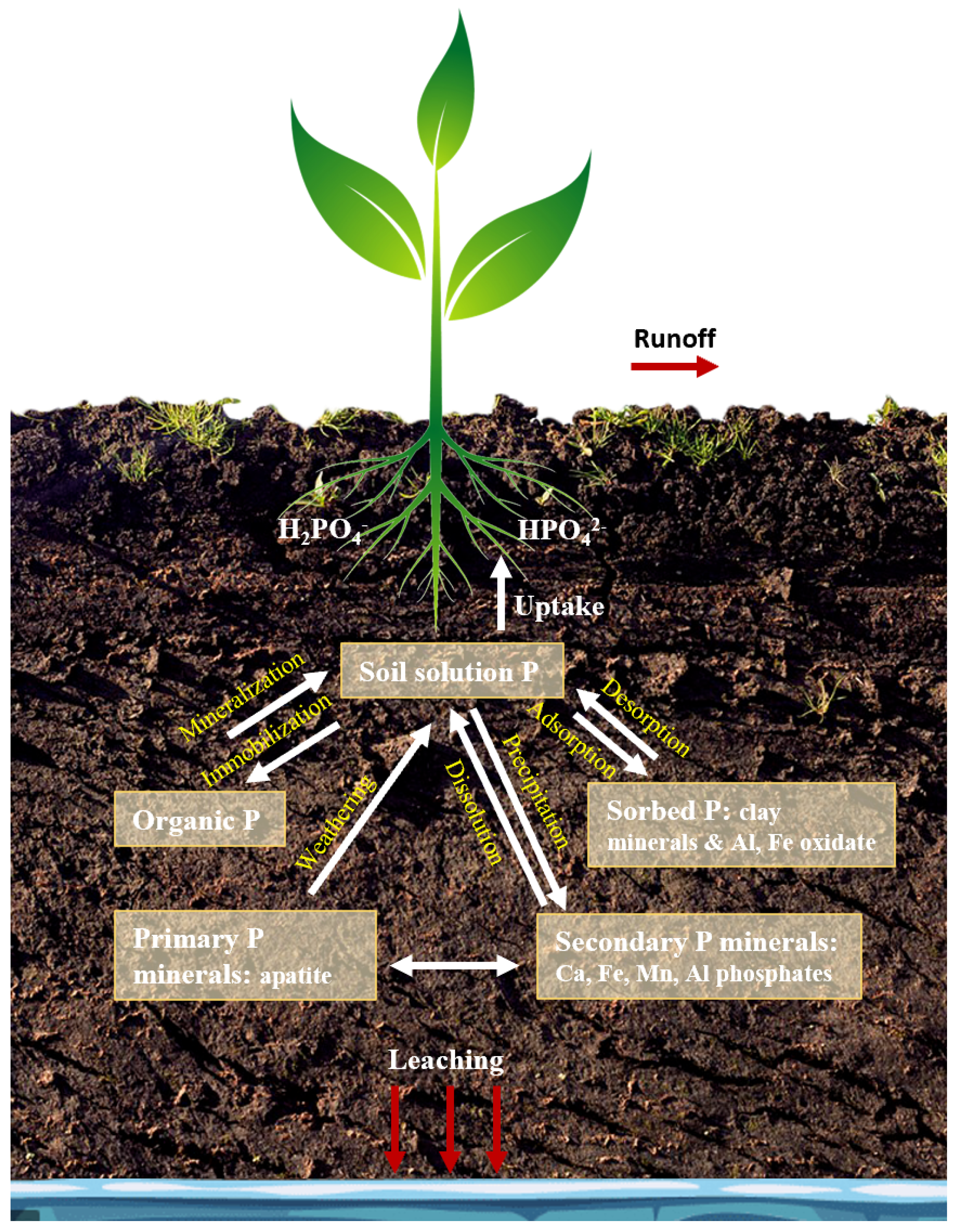 Sensors 22 08803 g001 Sensors 22 08803 g001