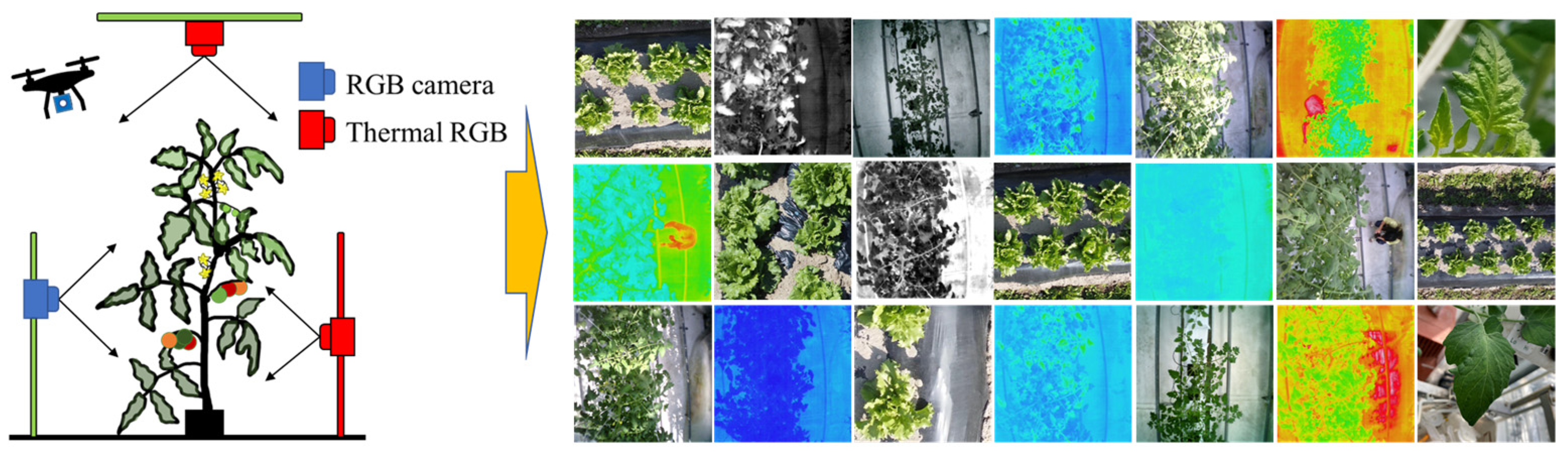 Sensors 22 08807 g001 Sensors 22 08807 g001