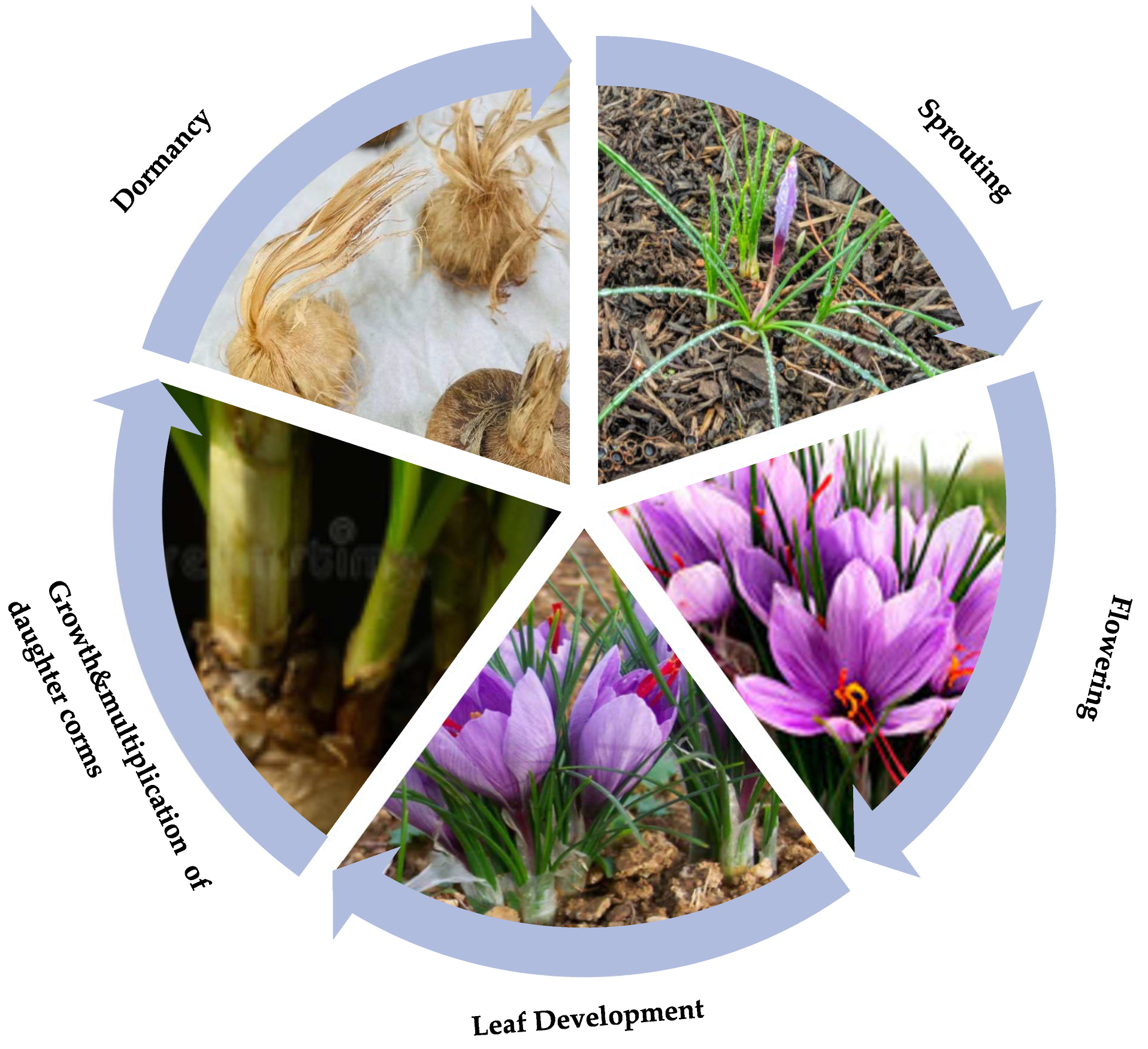 Sensors 22 08905 g002