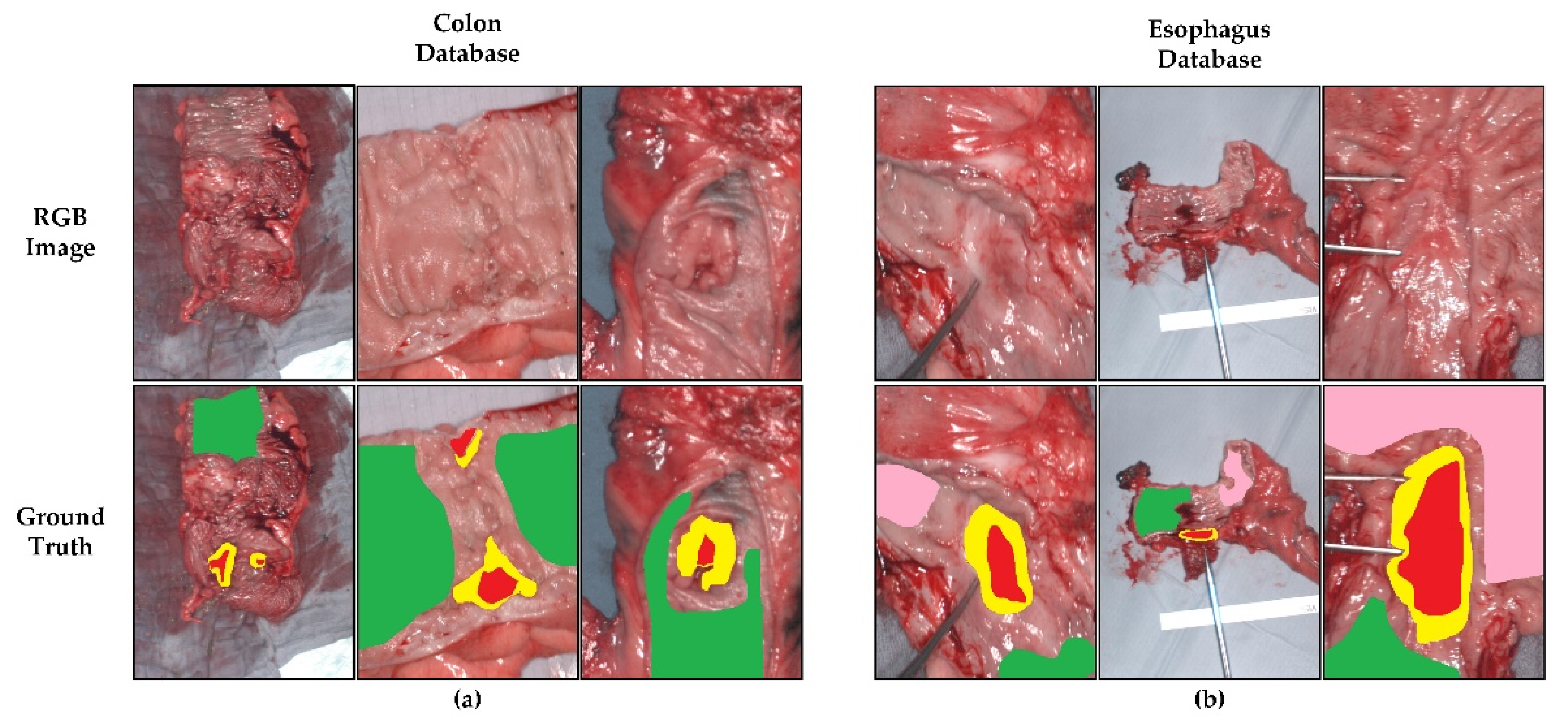 Sensors 22 08917 g001 Sensors 22 08917 g001