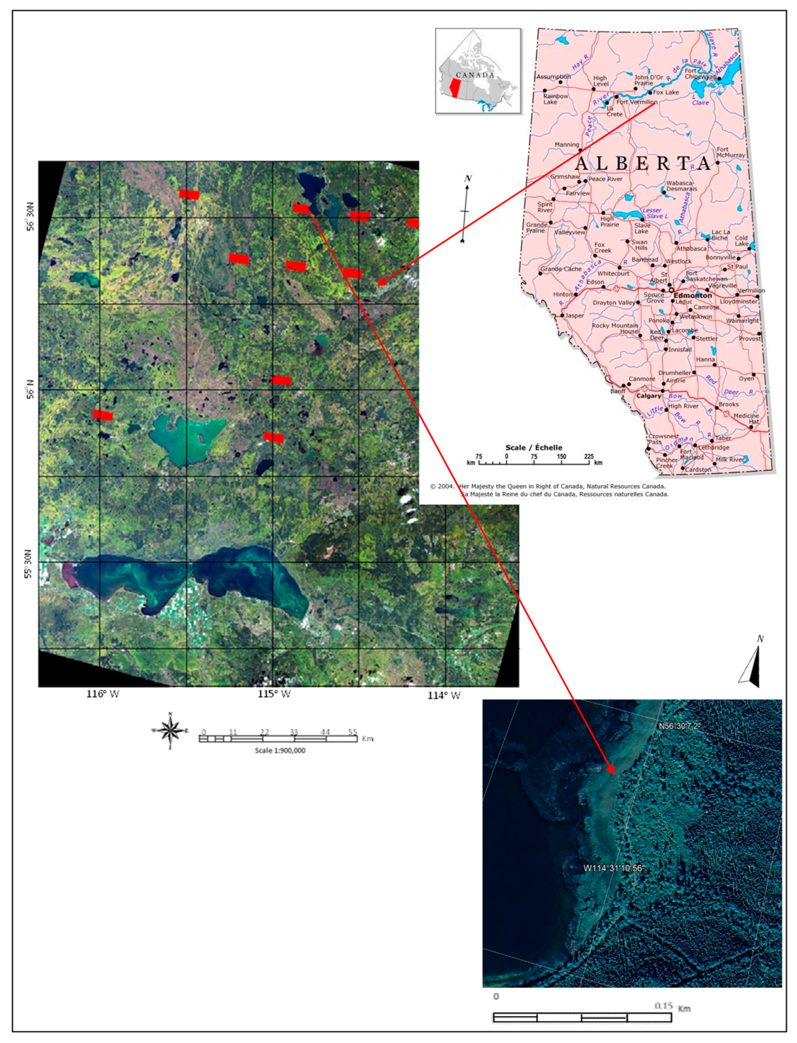 An Advanced Data Fusion Method to Improve Wetland Classification 