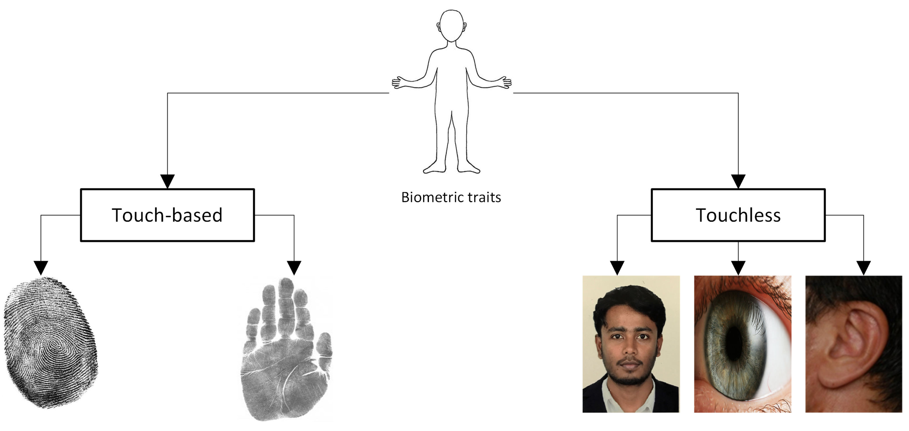 Sensors Free FullText Biometric Security A Novel Ear Recognition