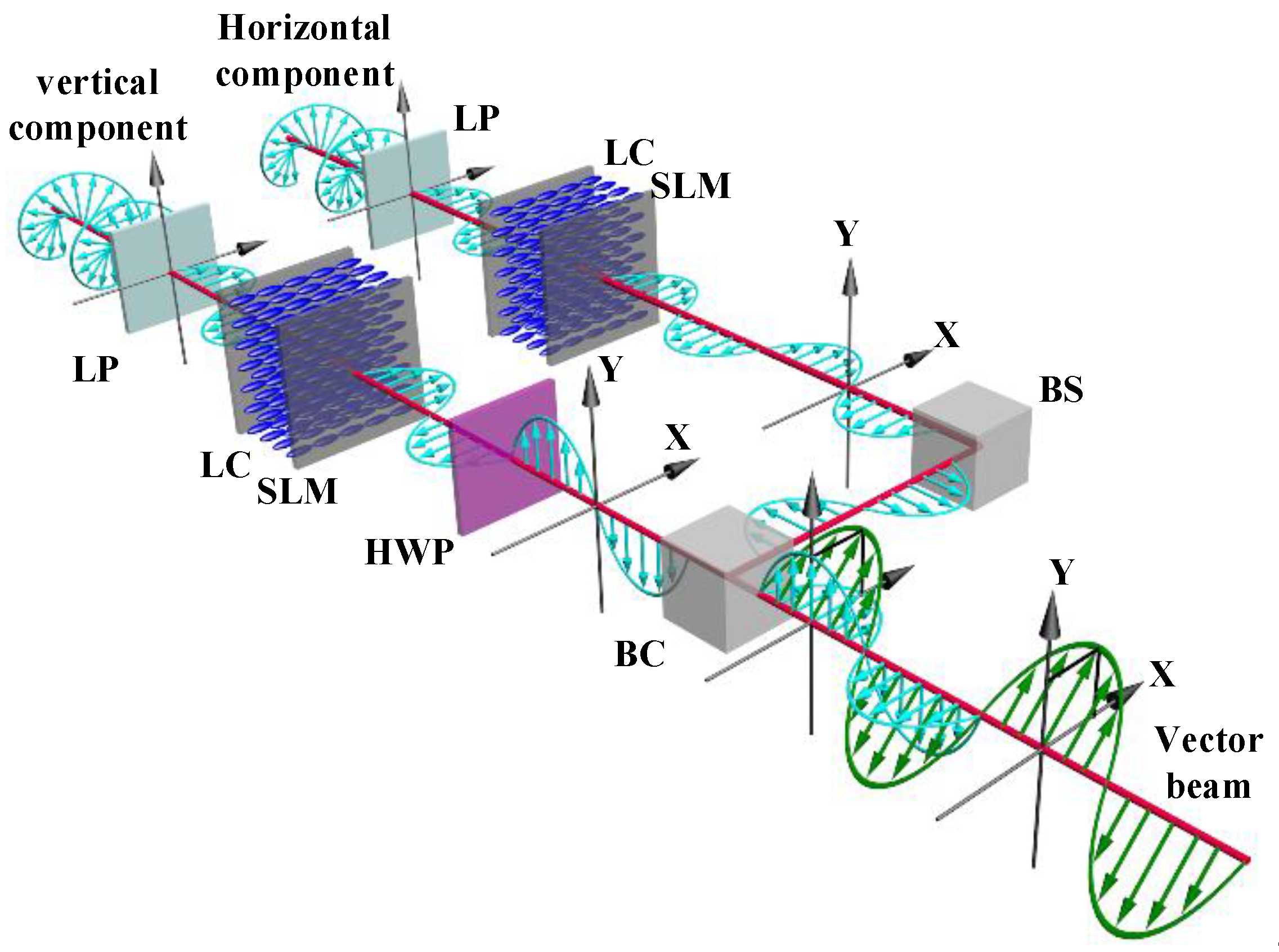 Dynamic Phase and Polarization Modulation Using Two-Beam Parallel ...