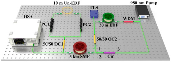 Flat Multi-Wavelength Brillouin Erbium-Doped Fiber Laser