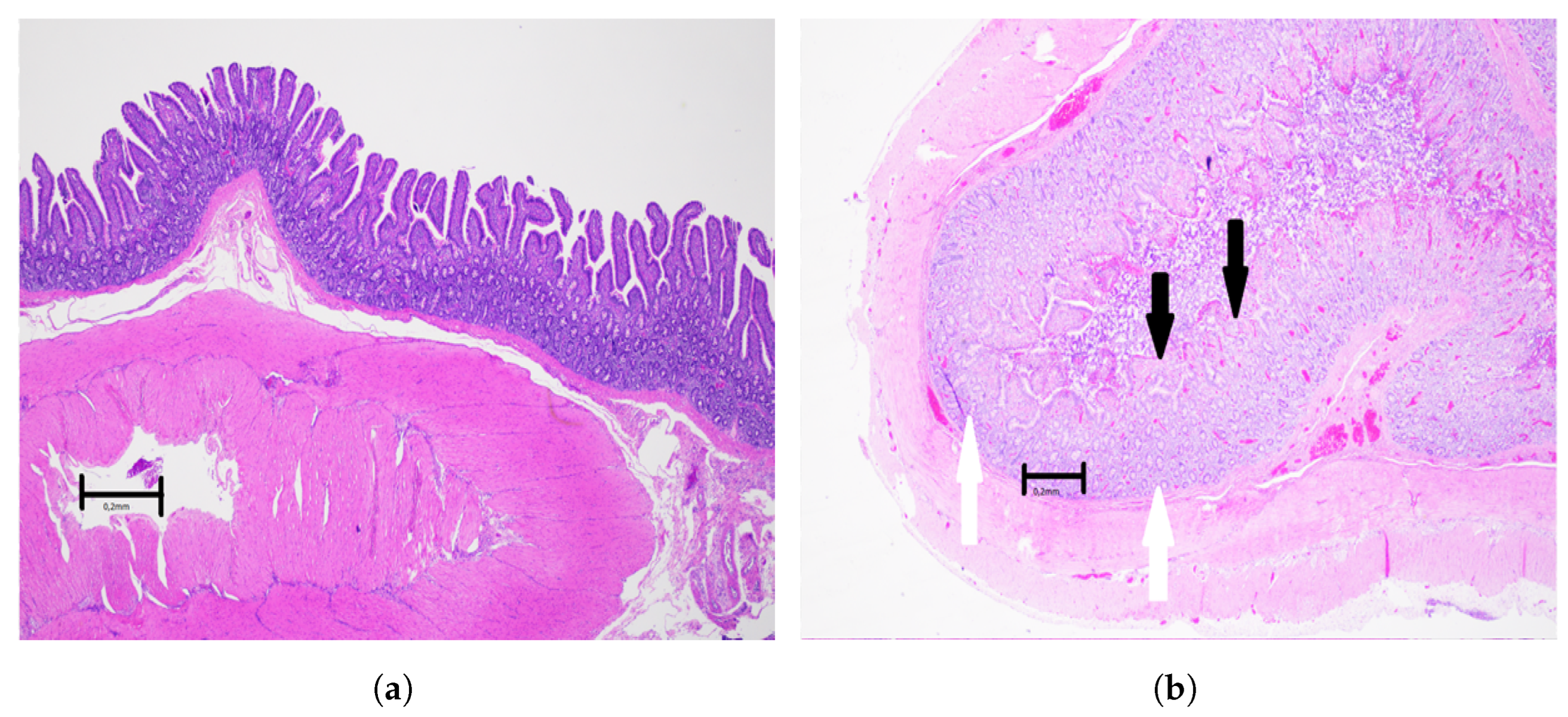Sensors 22 09111 g005