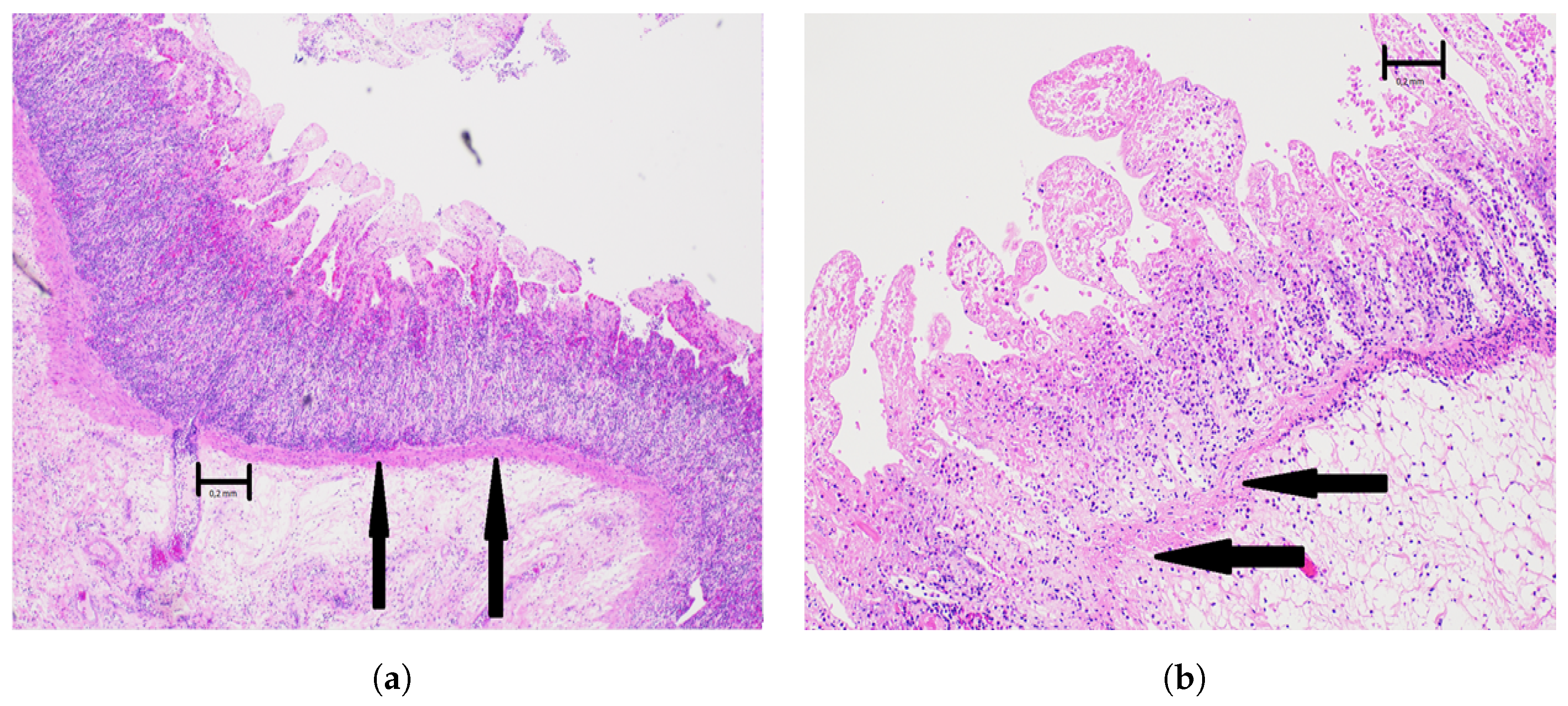 Sensors 22 09111 g006
