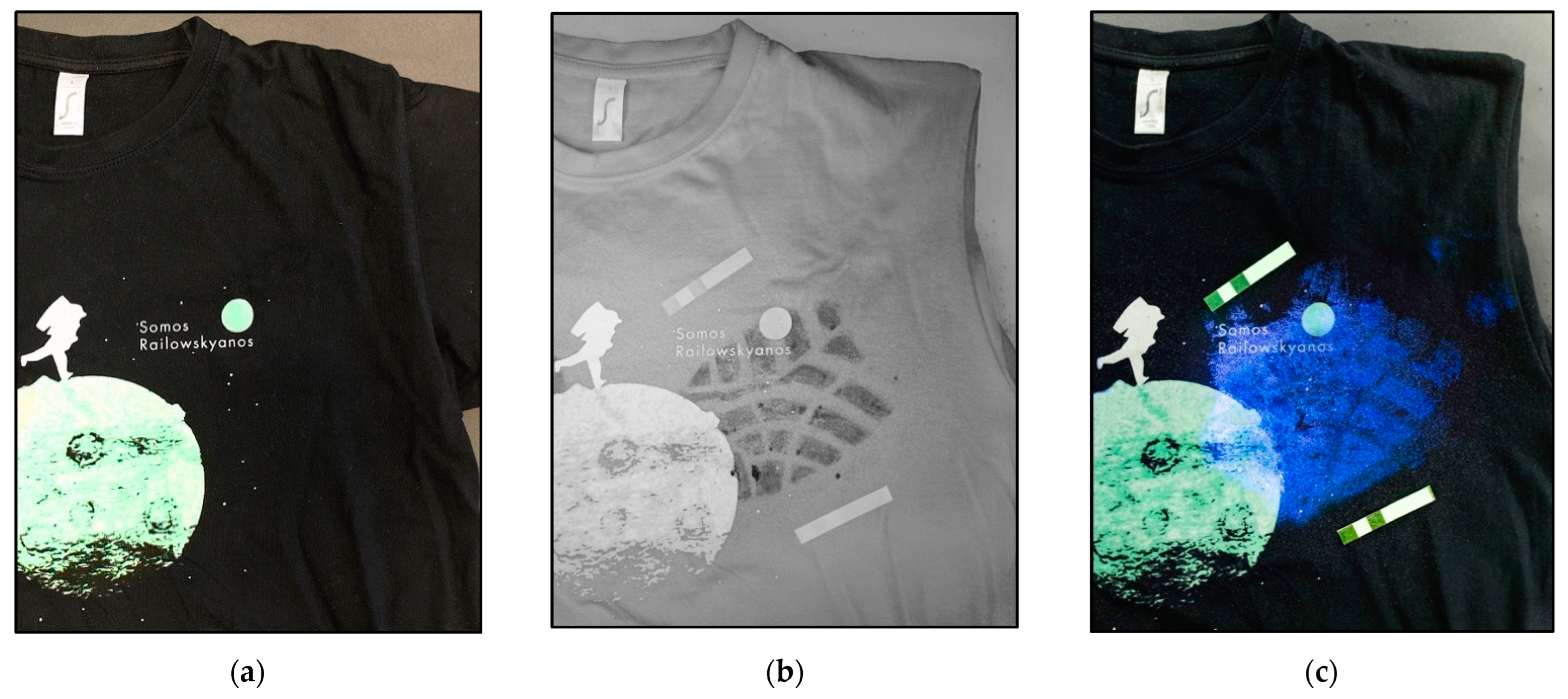 Sensors 22 09142 g004