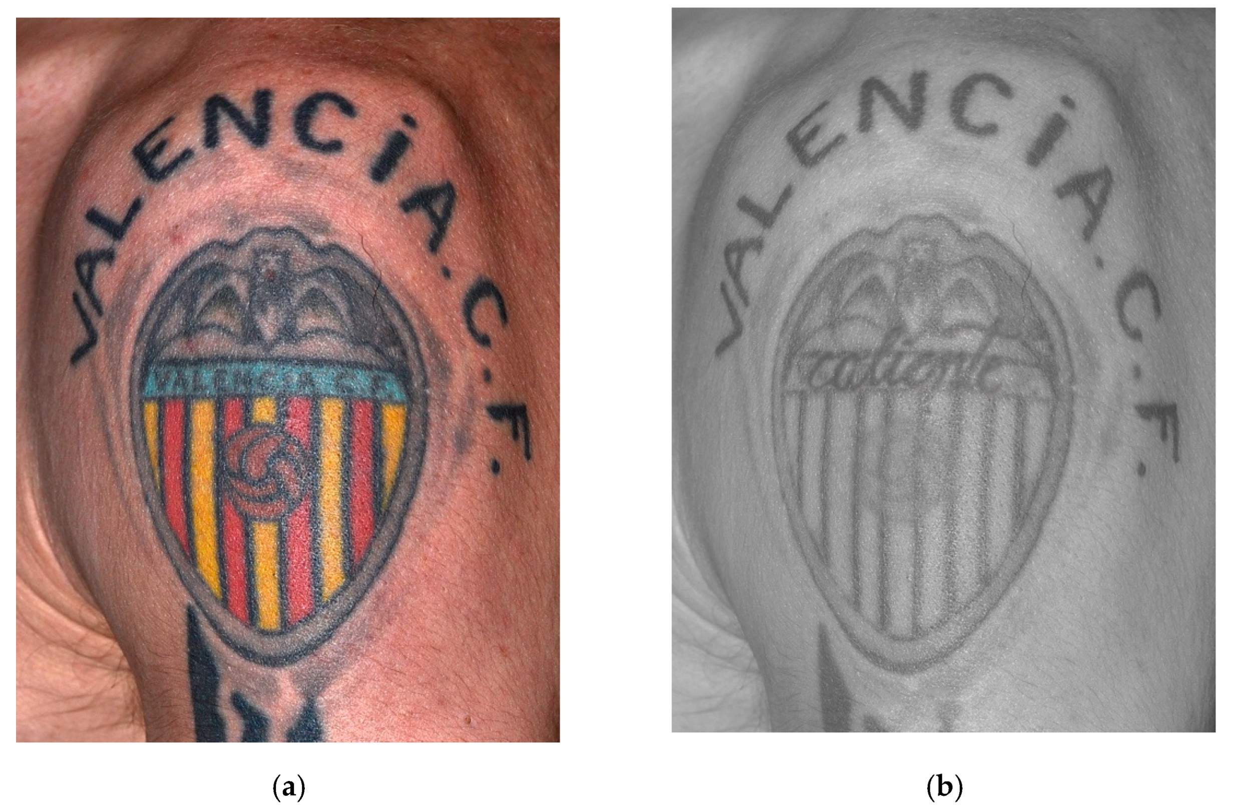 Sensors 22 09142 g009