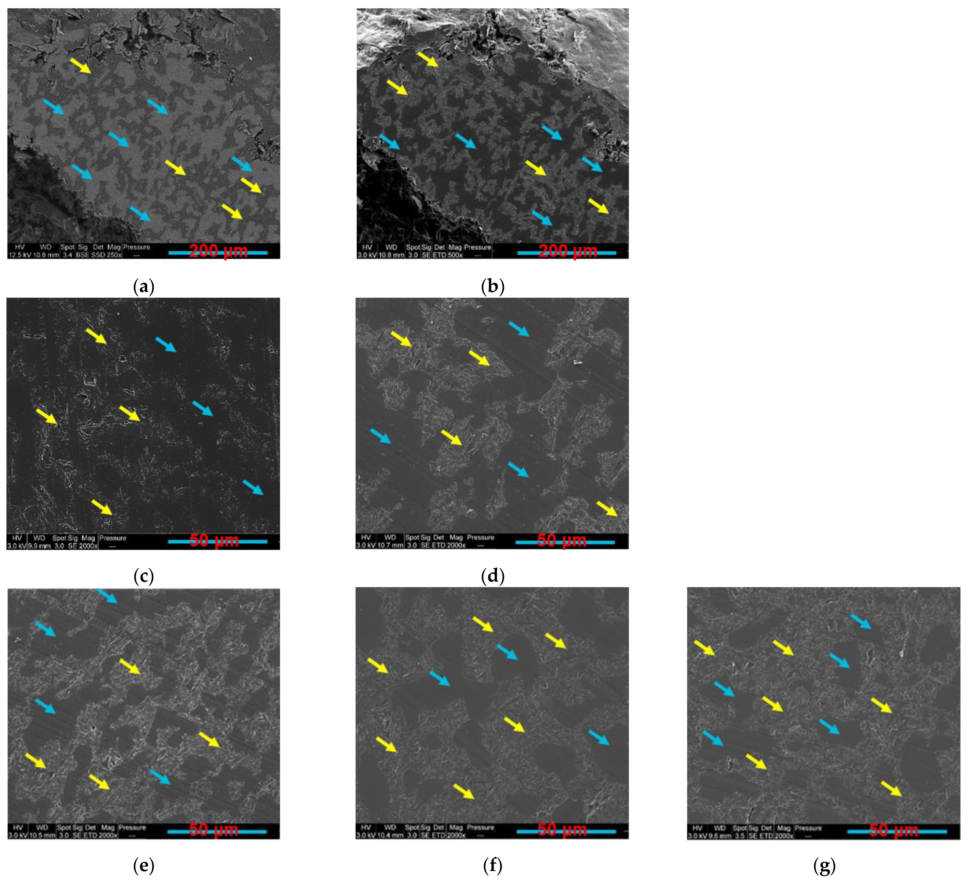 Sensors 22 09231 g004 Sensors 22 09231 g004
