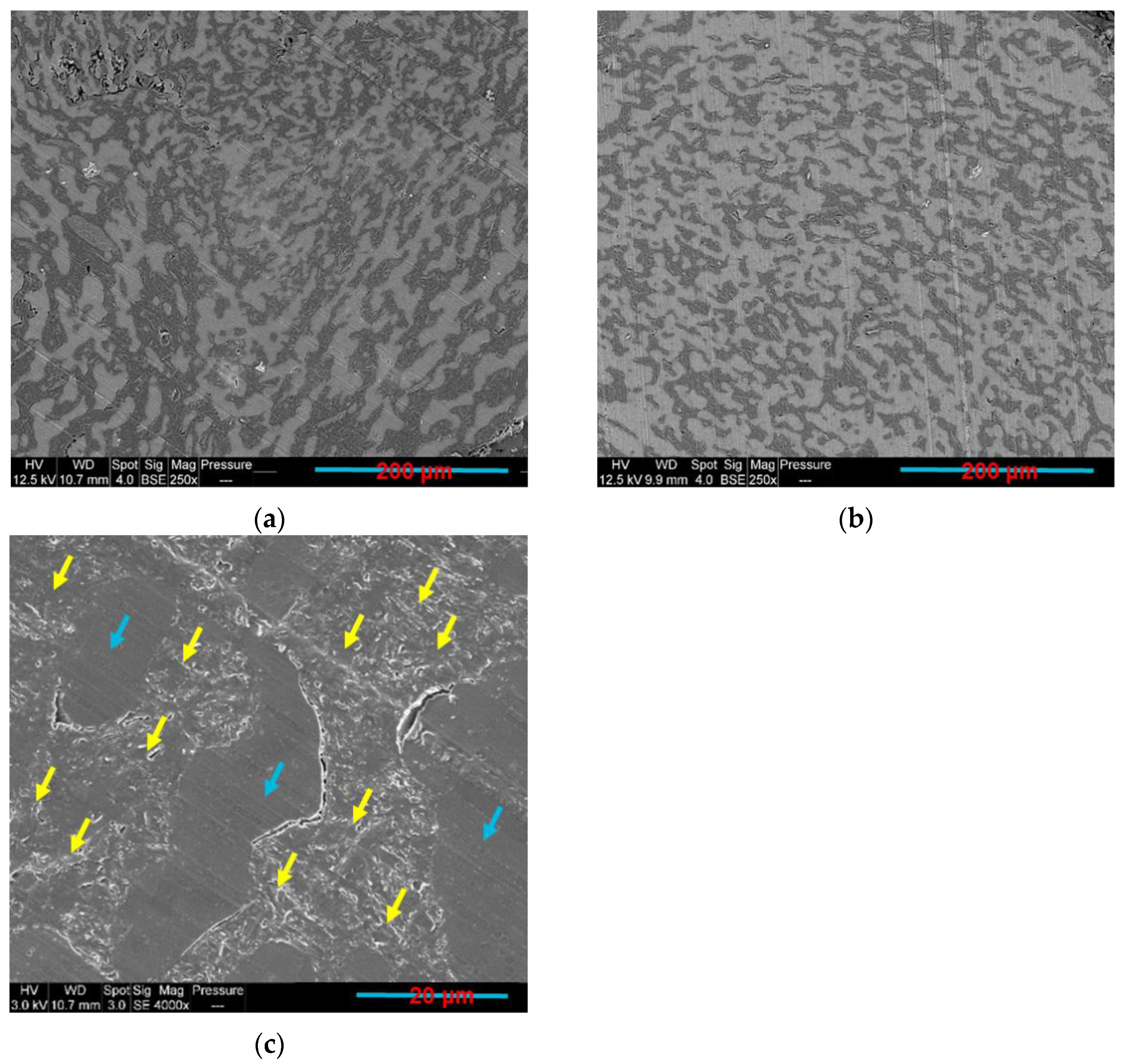 Sensors 22 09231 g011 Sensors 22 09231 g011