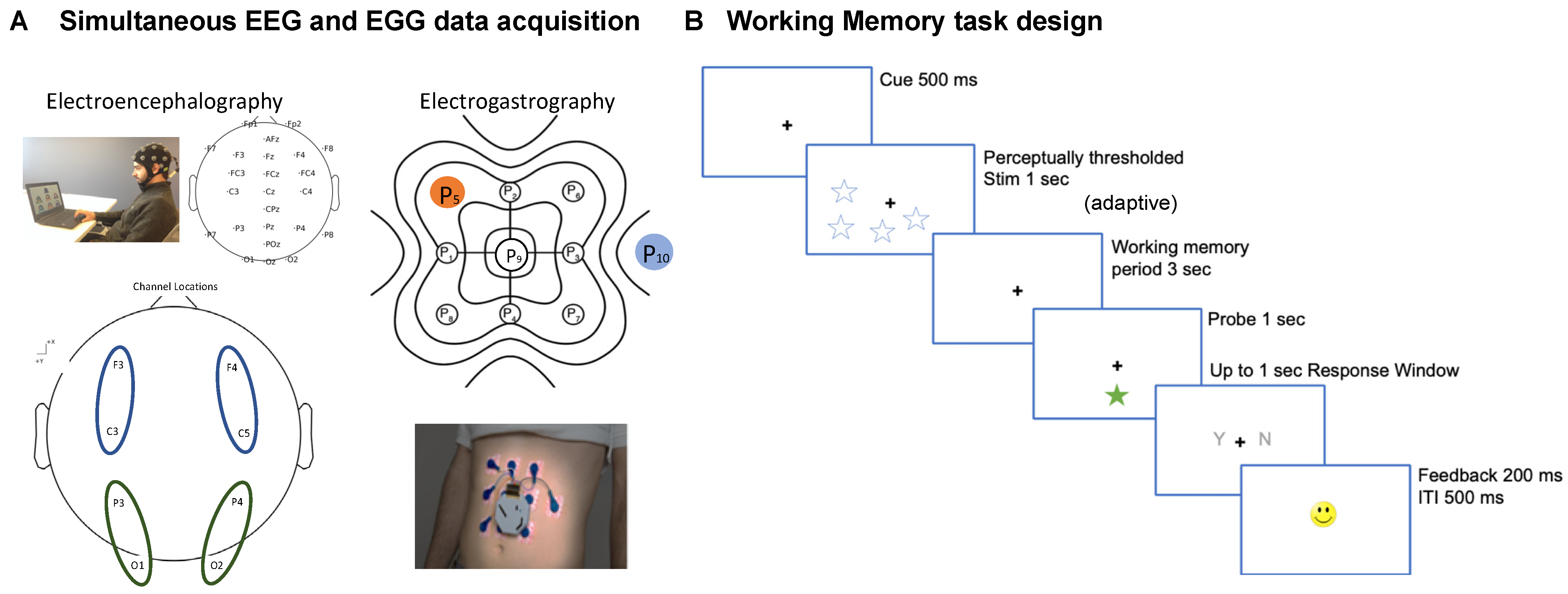 Sensors 22 09242 g001 Sensors 22 09242 g001
