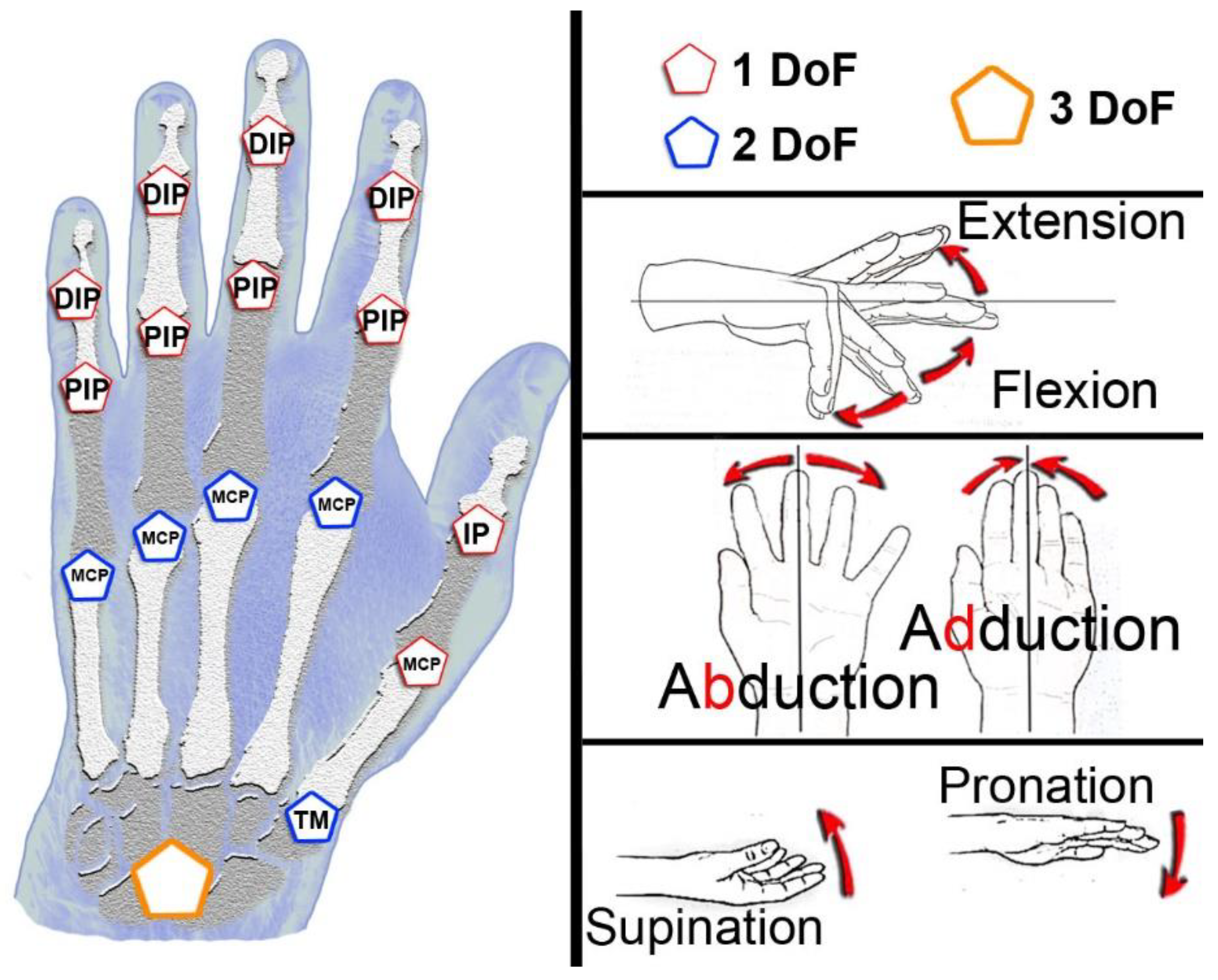 Sensors 22 09253 g001 Sensors 22 09253 g001