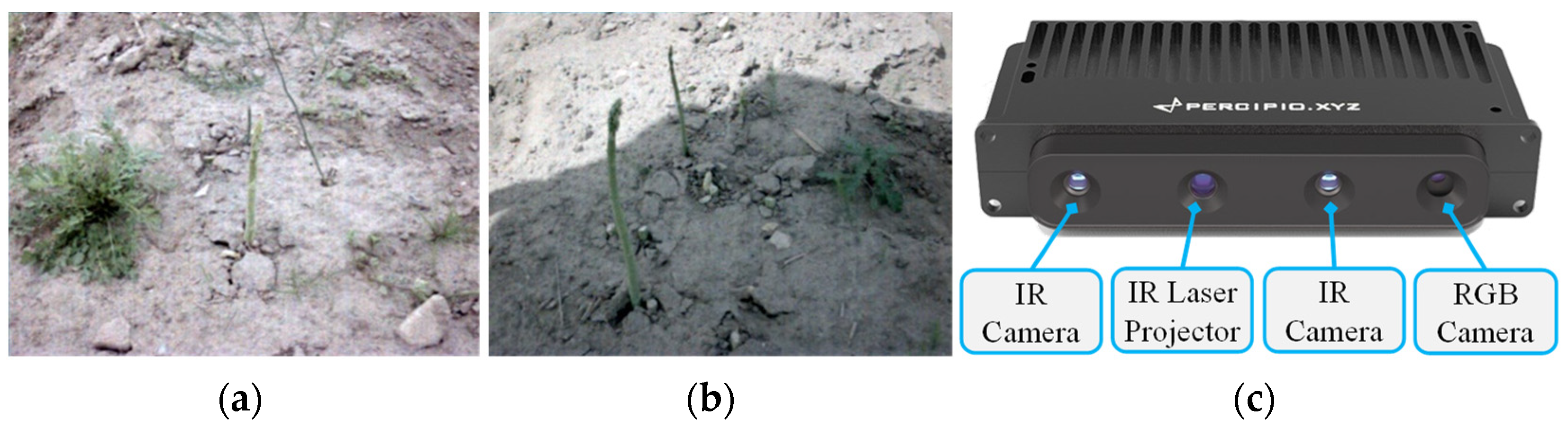 Sensors 22 09270 g001 Sensors 22 09270 g001
