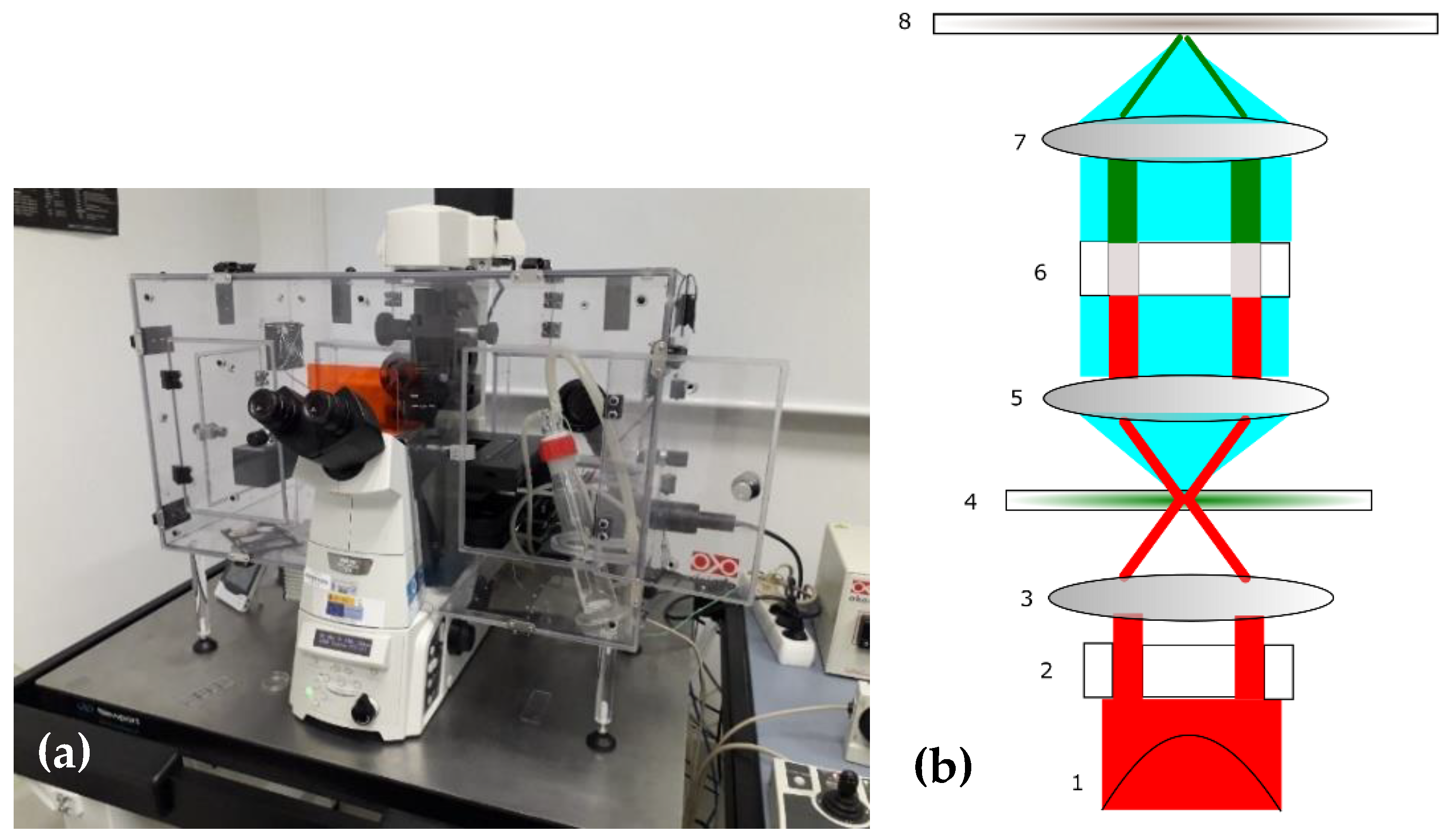 Sensors 22 09295 g001 Sensors 22 09295 g001