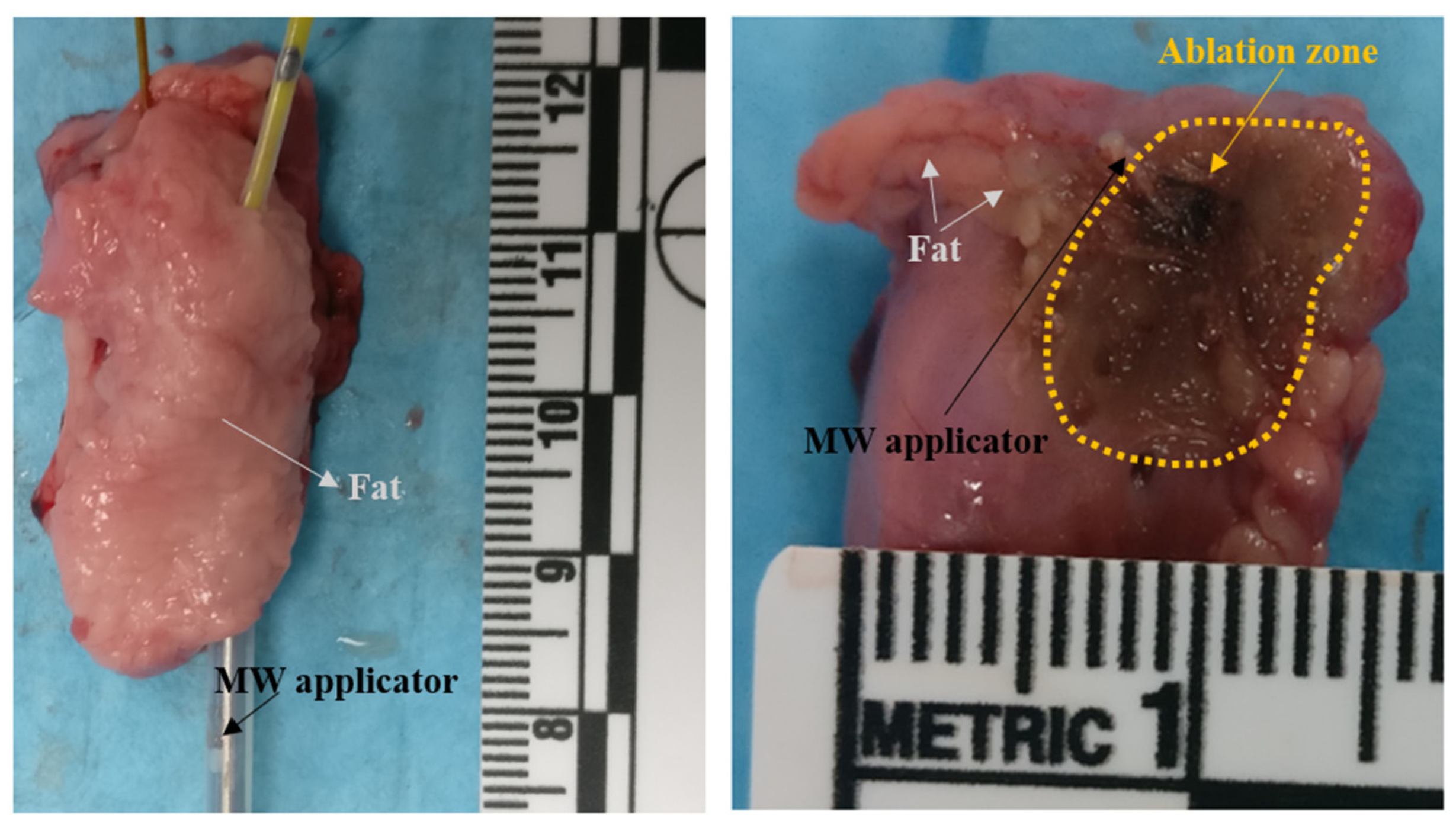 Sensors 22 09320 g006 Sensors 22 09320 g006