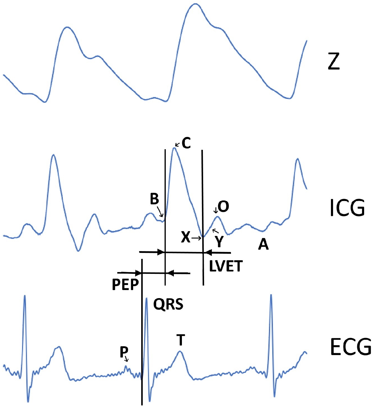 Sensors 22 09351 g001 Sensors 22 09351 g001