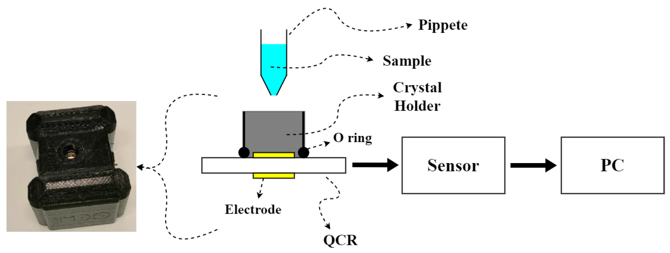 Sensors 22 09413 g001 Sensors 22 09413 g001