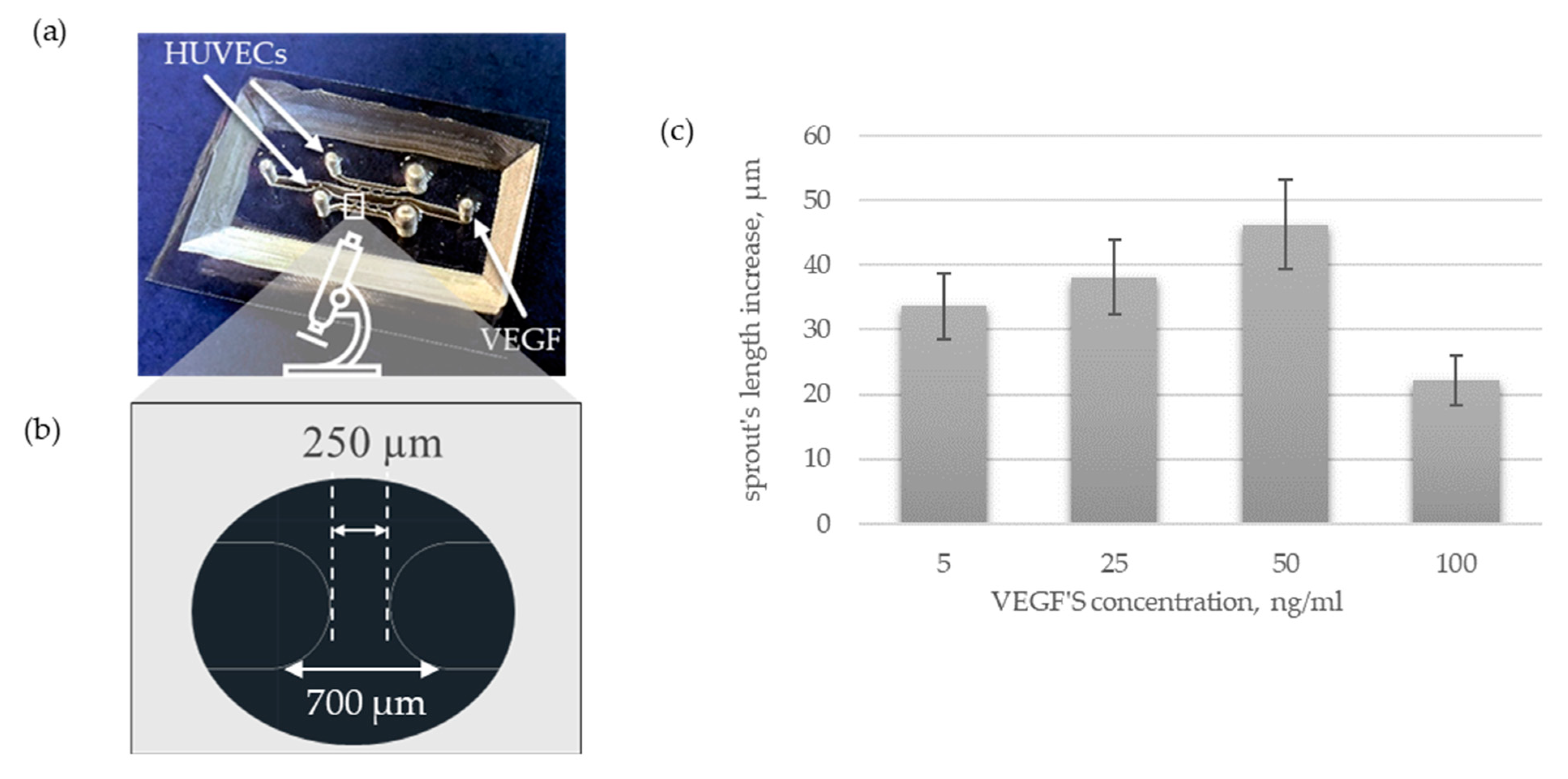 Sensors 22 09414 g005a