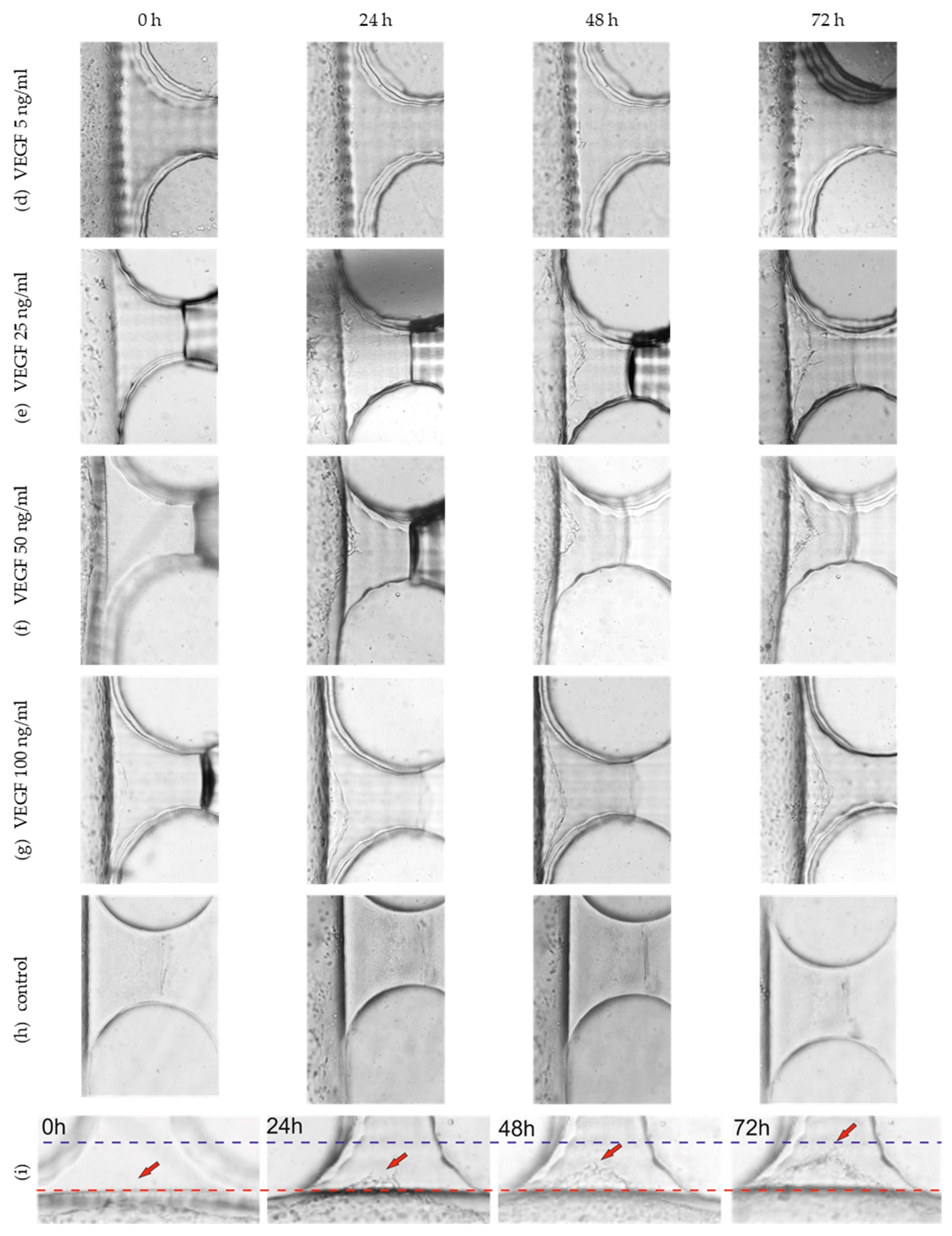 Sensors 22 09414 g005b