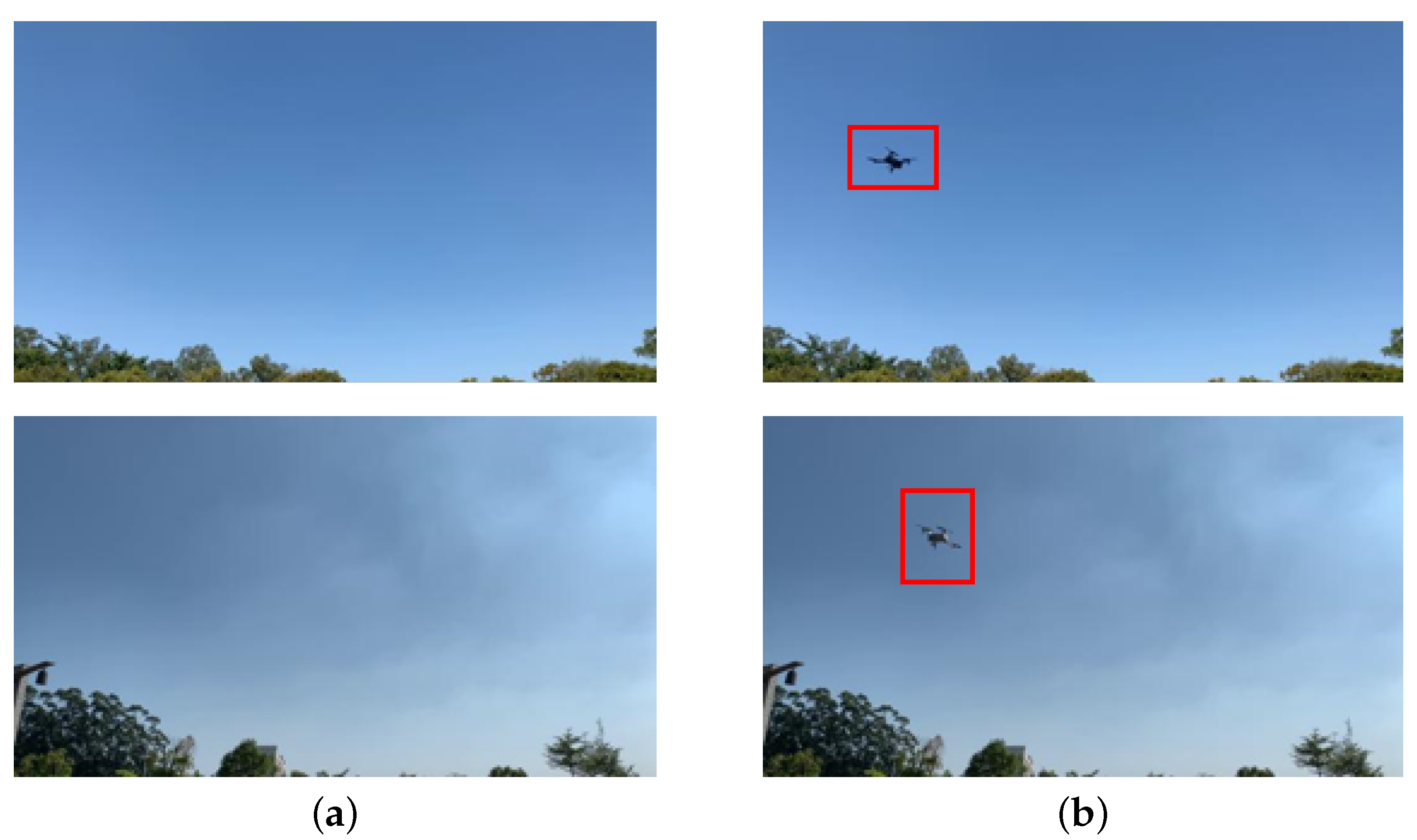 CUDM: A Combined UAV Detection Model Based on Video Abnormal