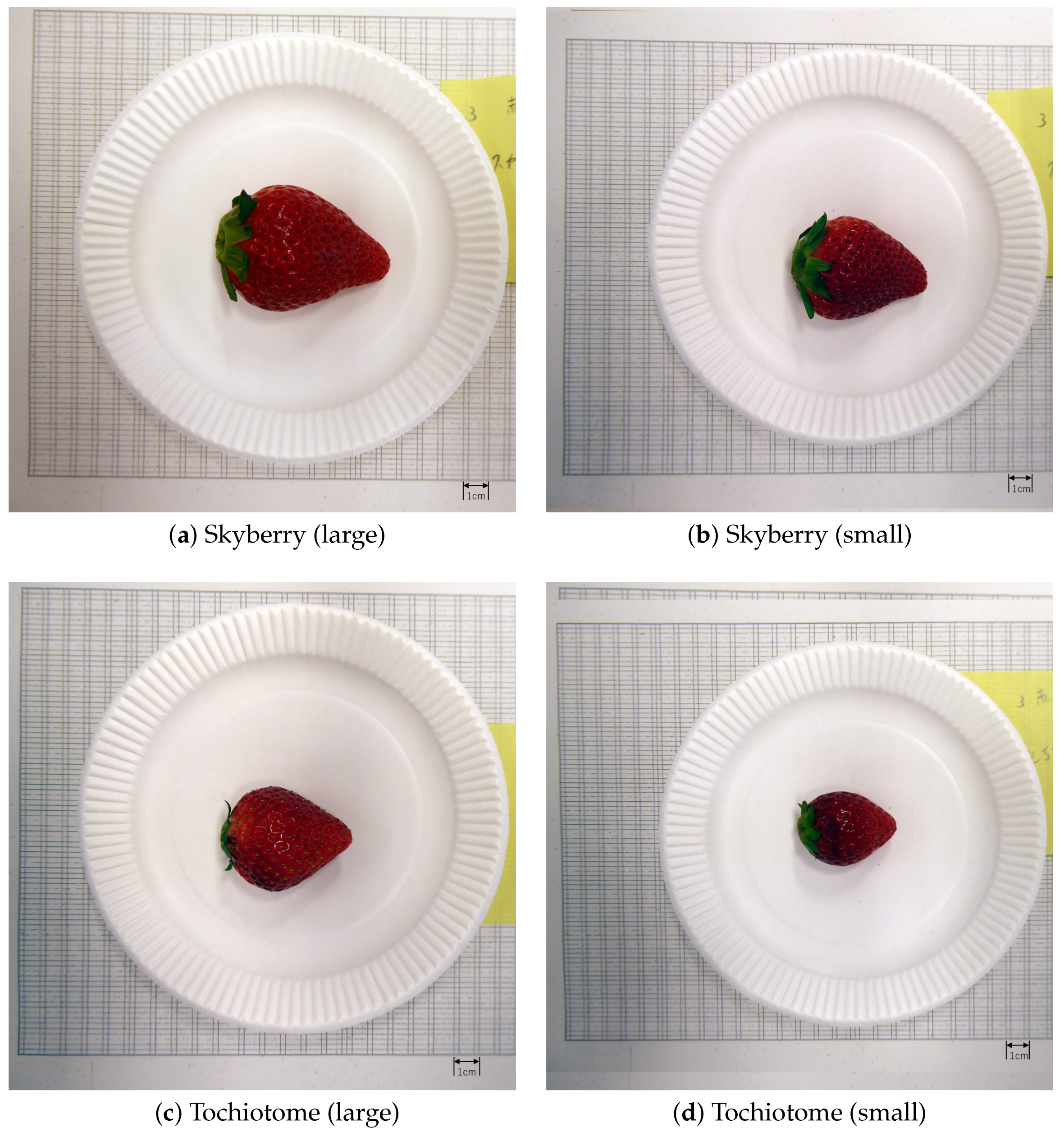 Sensors 22 09496 g003 Sensors 22 09496 g003
