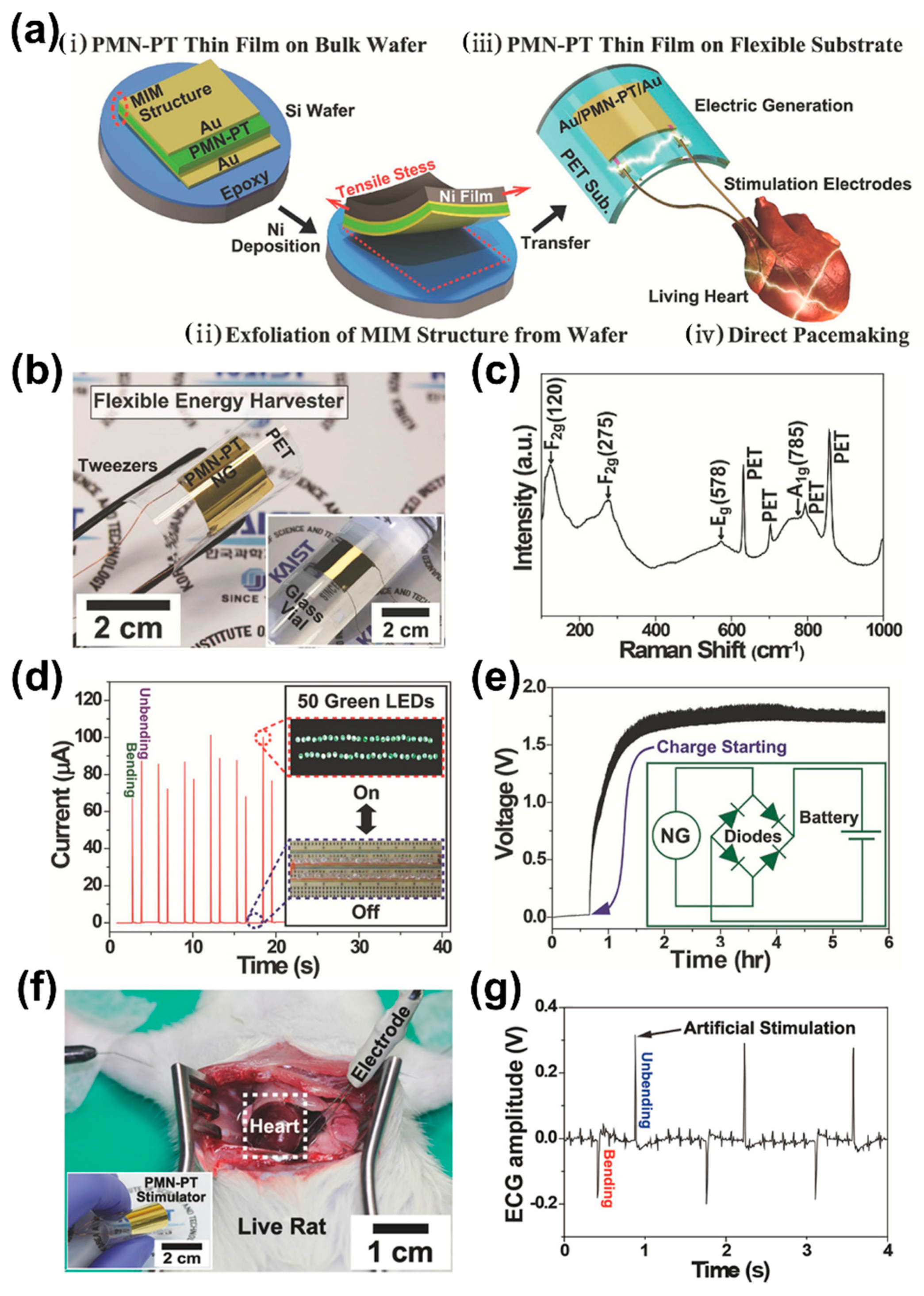 Sensors 22 09506 g008
