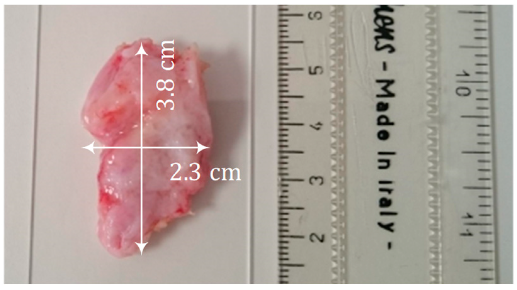 Sensors 22 09527 g005 Sensors 22 09527 g005