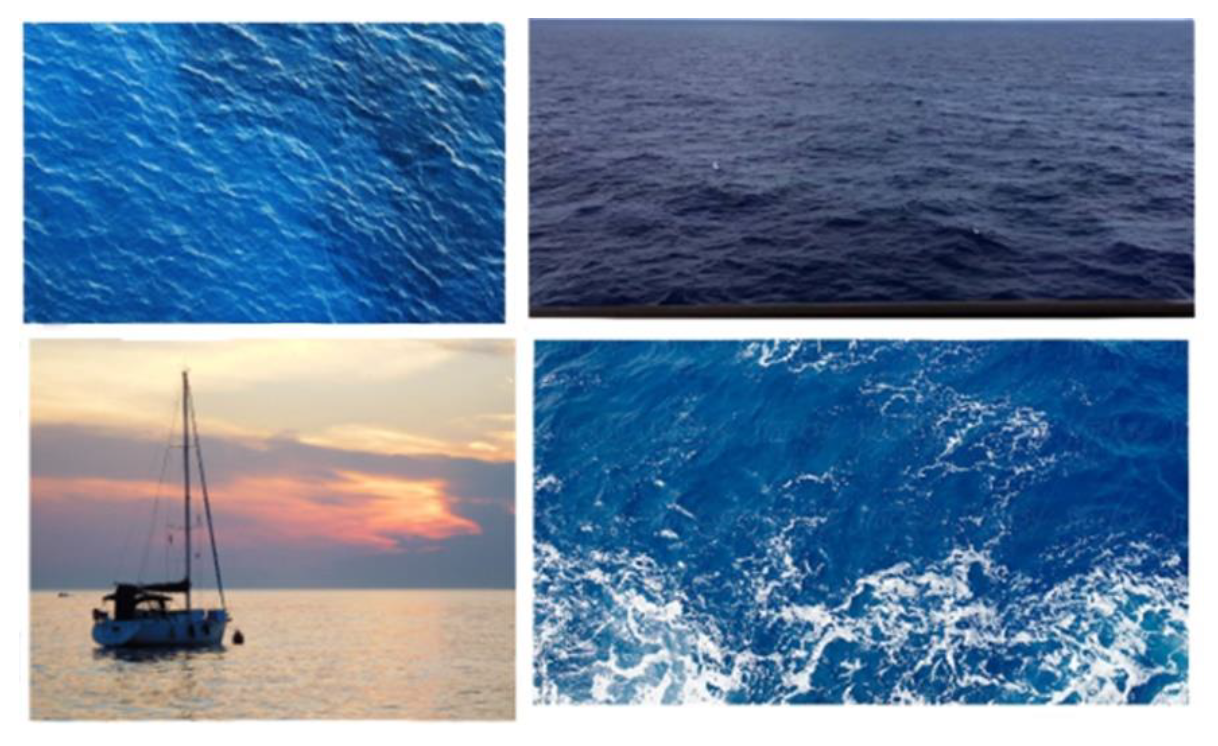 Sensors 22 09536 g006