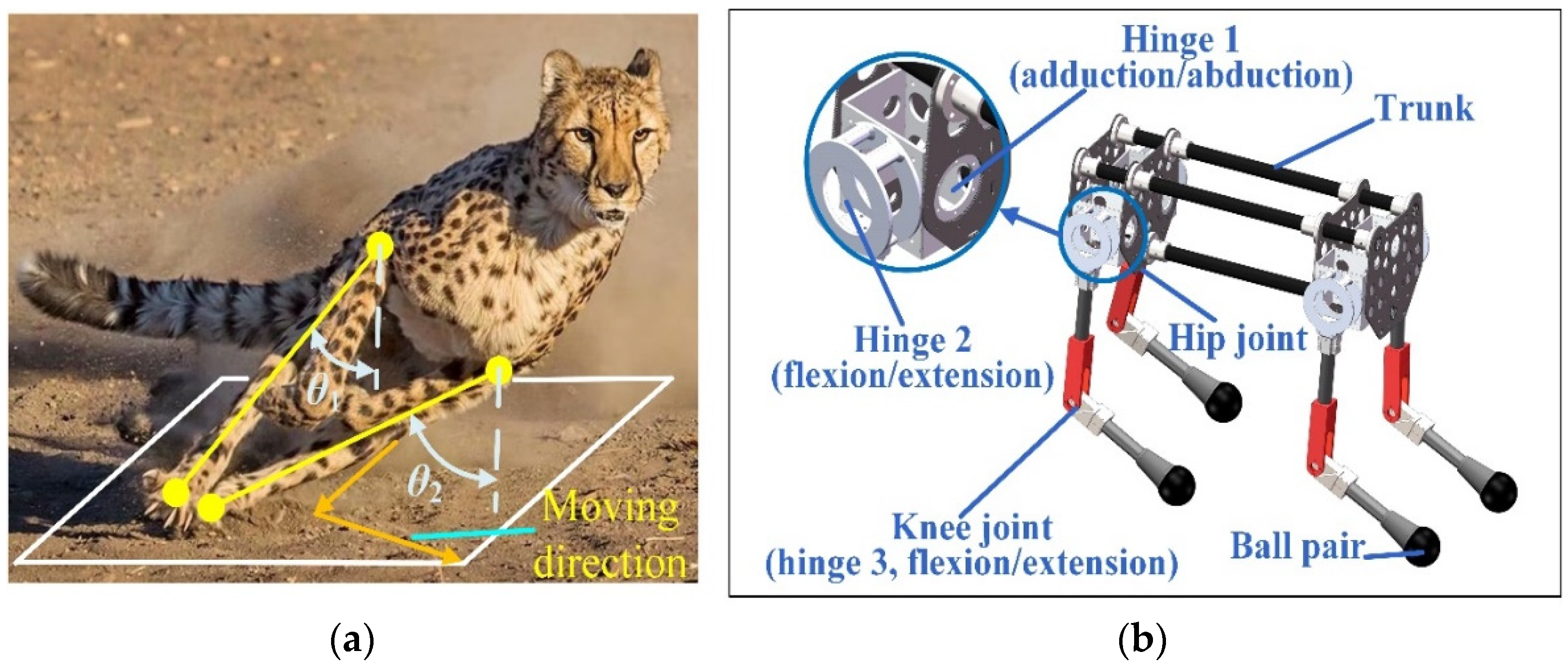 Cheetah shop robot running