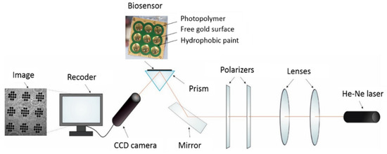 An Immunosensor for the Determination of Cortisol in Serum and Saliva ...