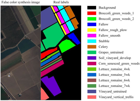 Semantic Segmentation of Hyperspectral Remote Sensing Images