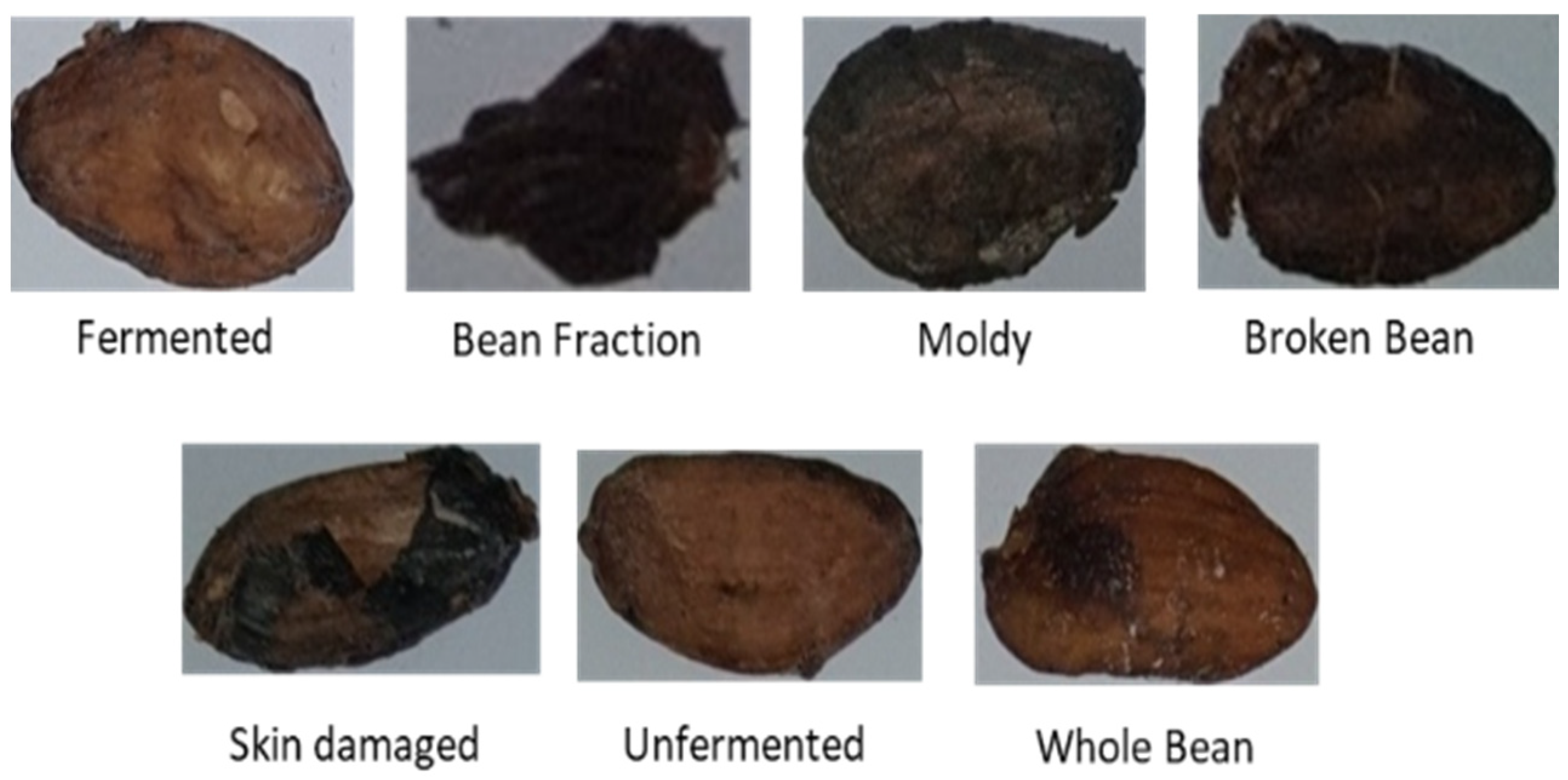 Sensors 22 09717 g005