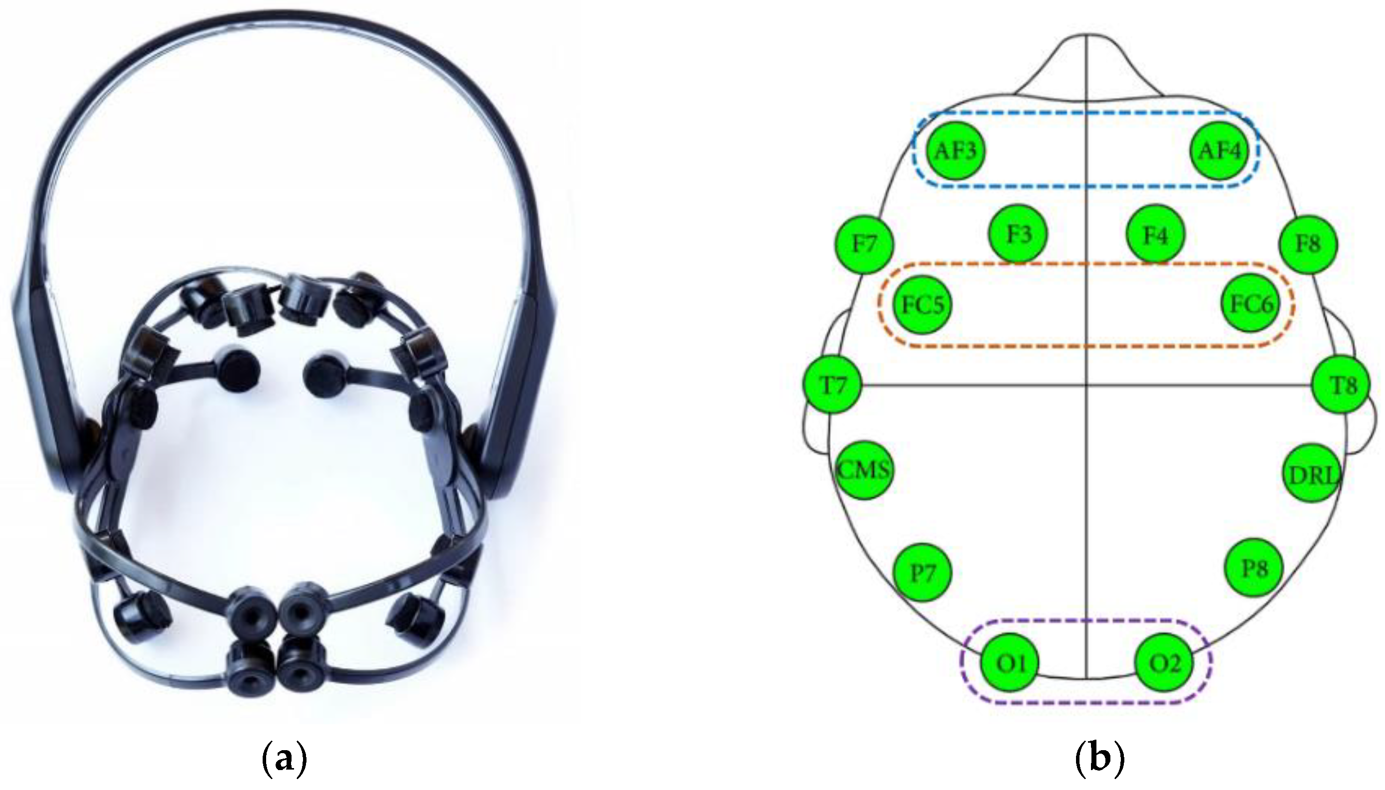 Investigating User Proficiency of Motor Imagery for EEG