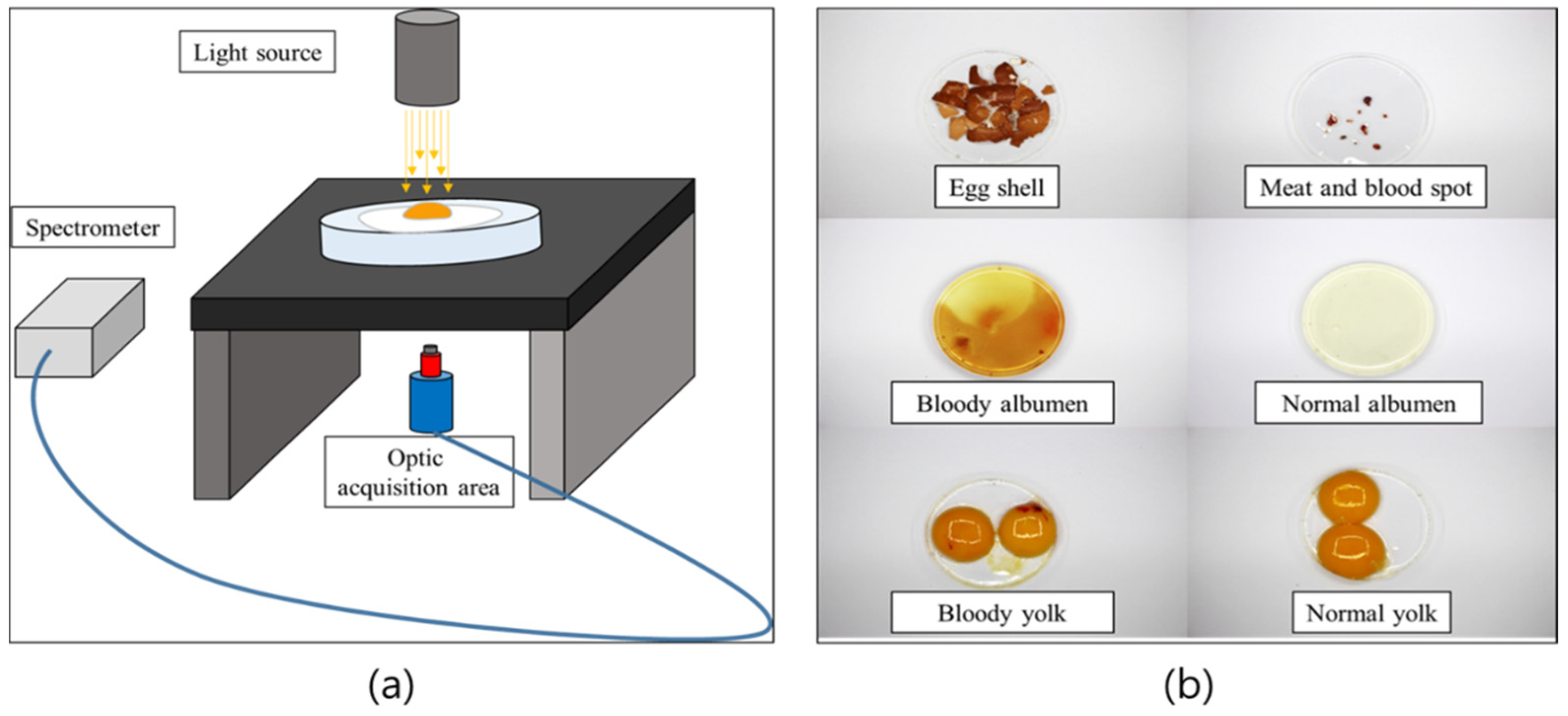 Sensors 22 09826 g003