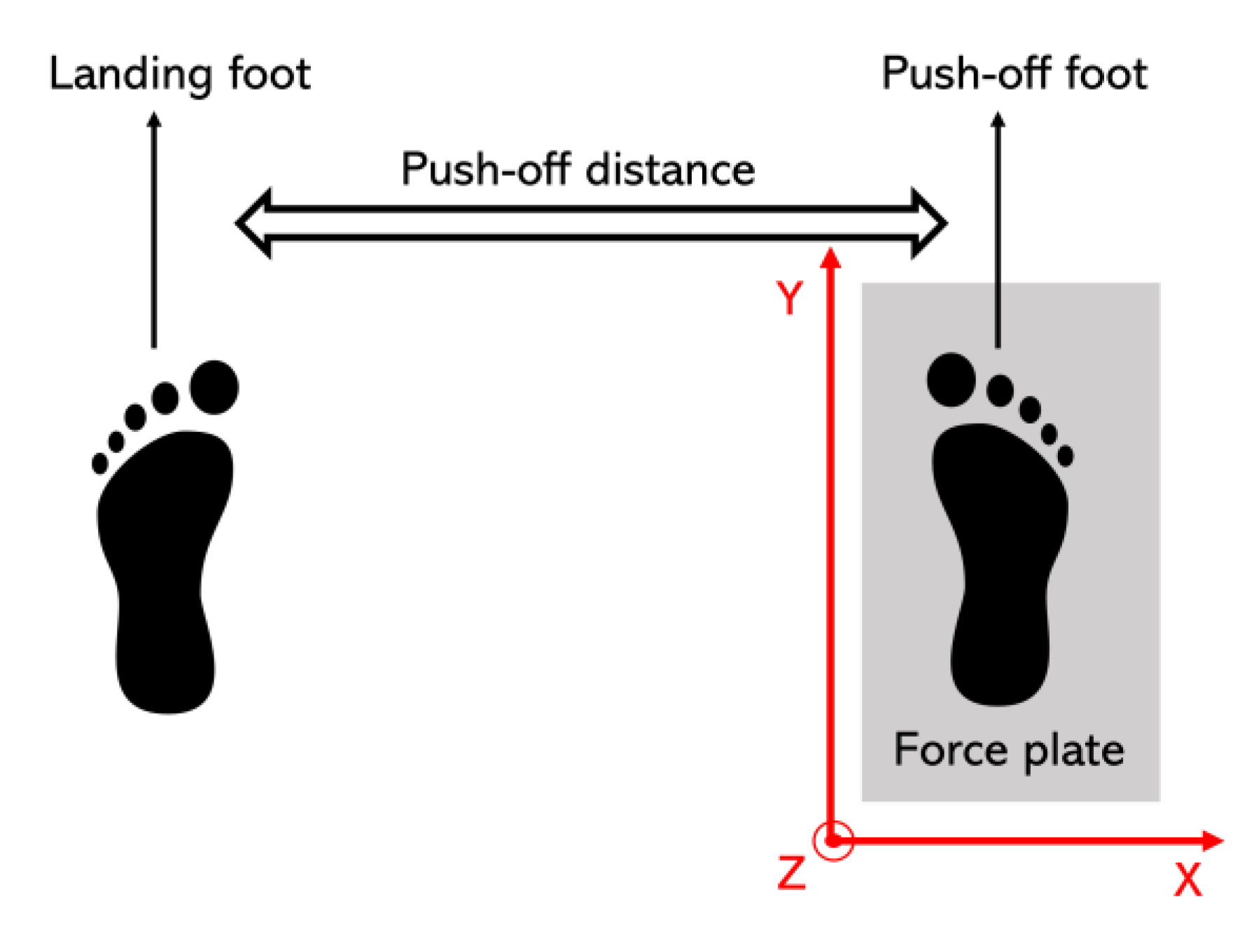 Sensors 22 09856 g004