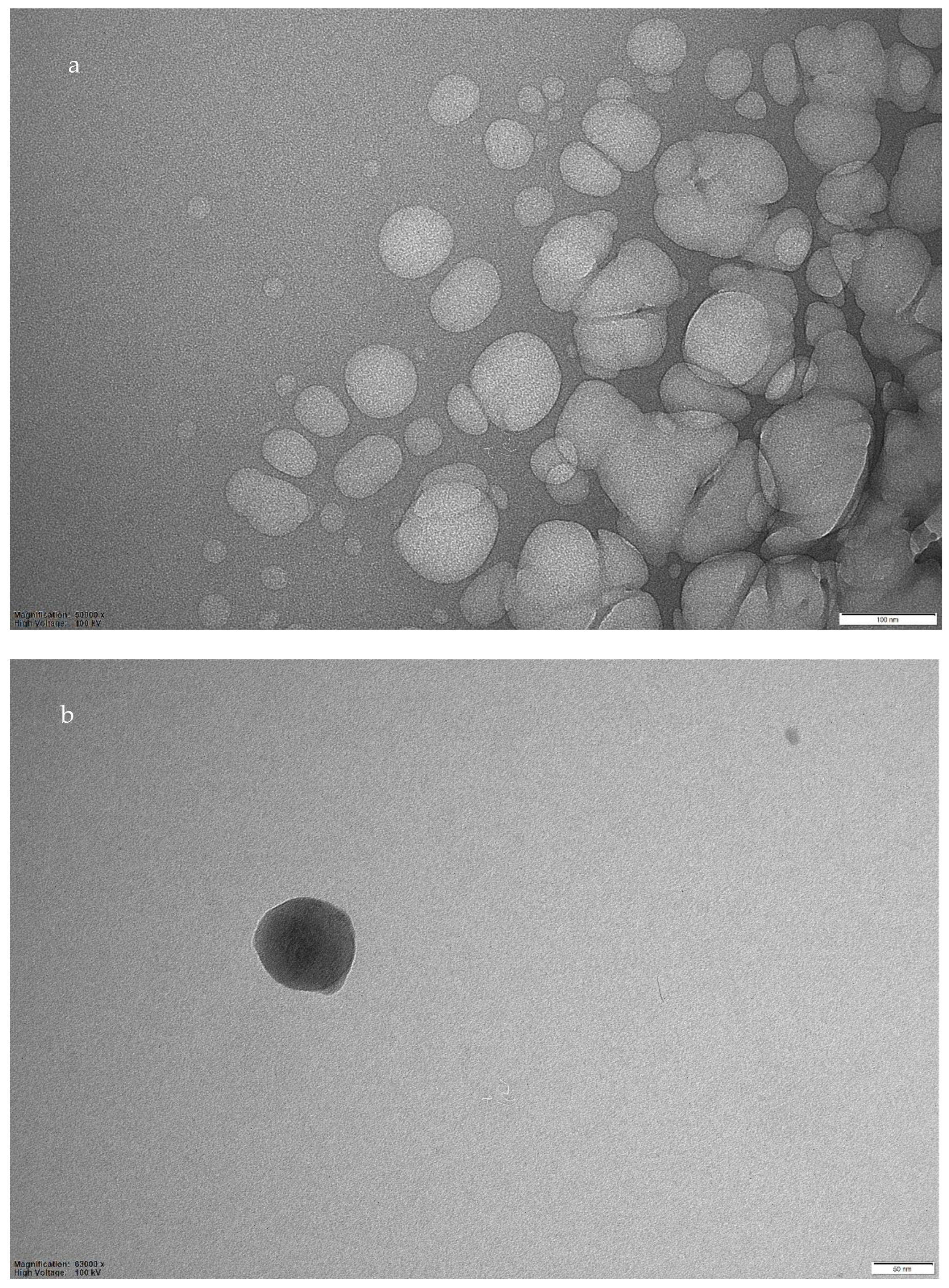 Sensors 22 09874 g003