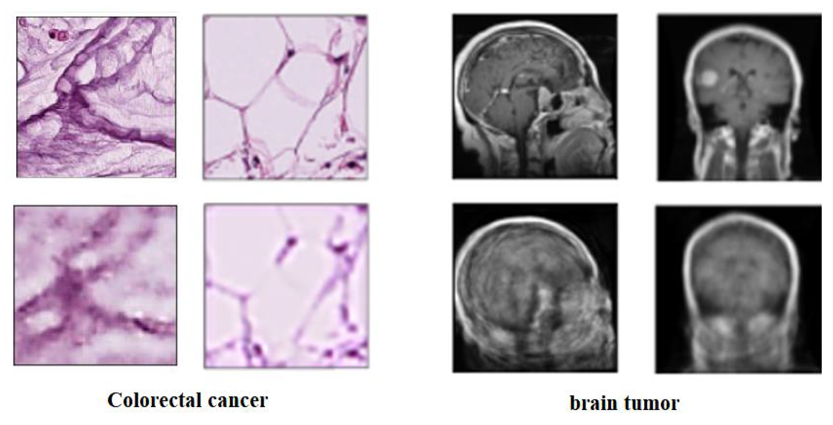 Sensors 22 09875 g004 Sensors 22 09875 g004