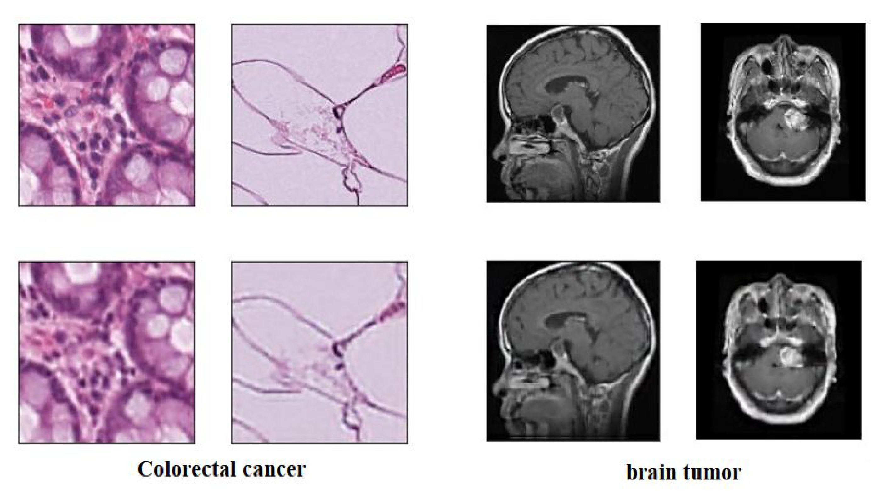 Sensors 22 09875 g005 Sensors 22 09875 g005