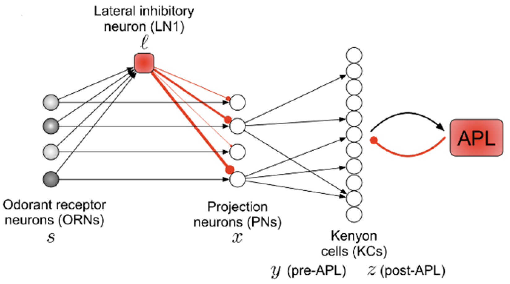 Sensors 22 09940 g003 Sensors 22 09940 g003