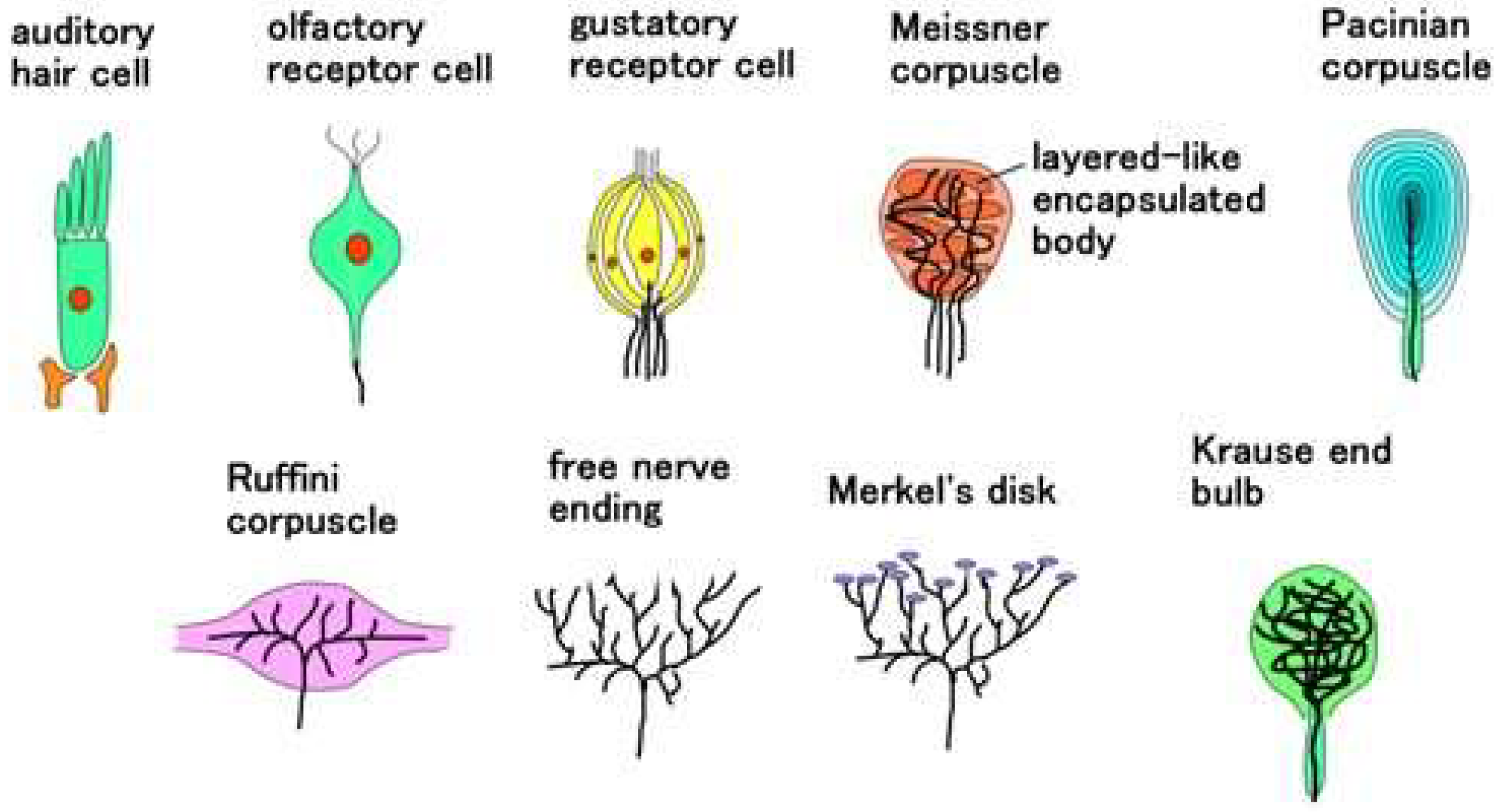 Sensors 22 09952 g002 Sensors 22 09952 g002