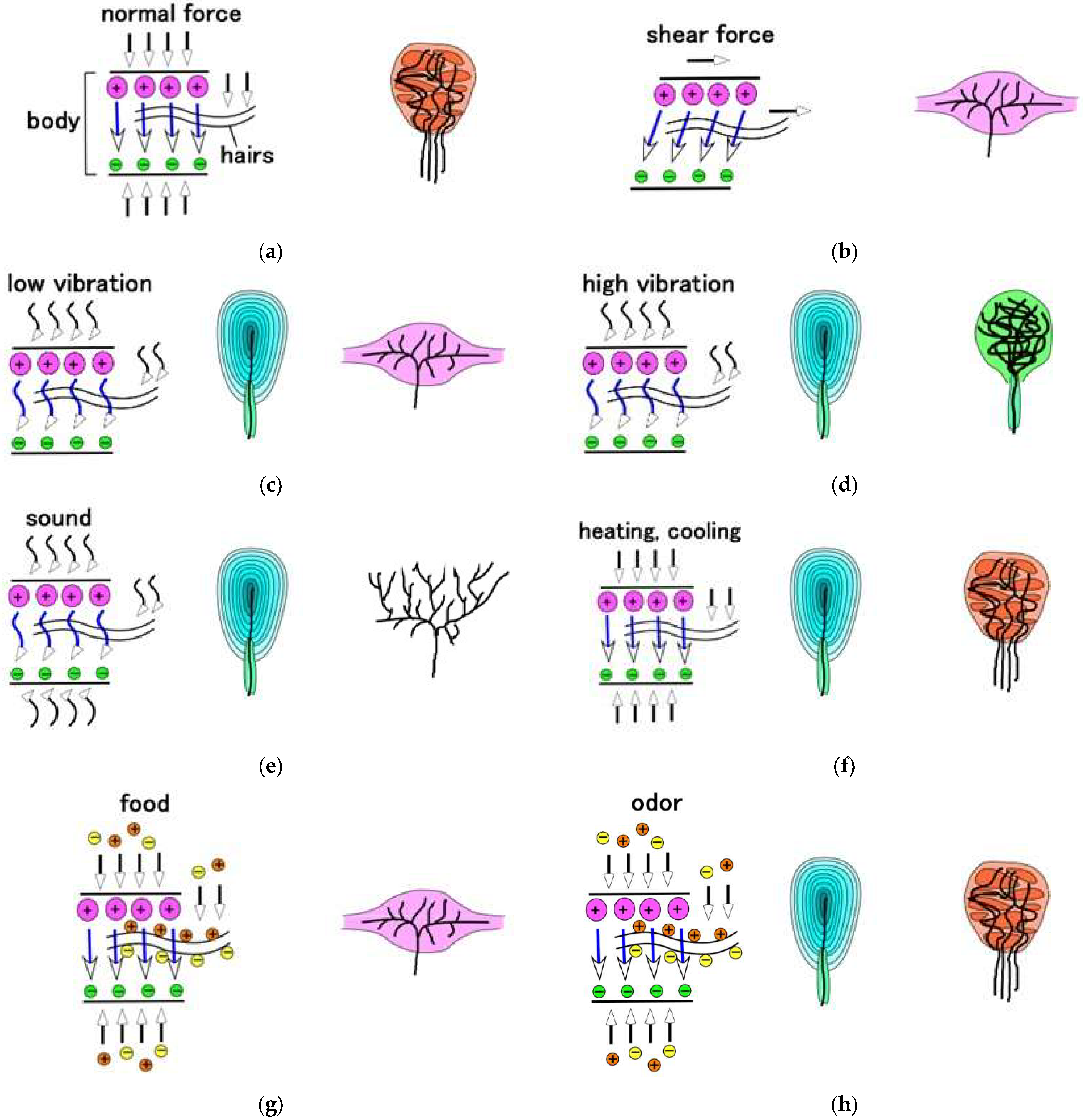 Sensors 22 09952 g0a3 Sensors 22 09952 g0a3